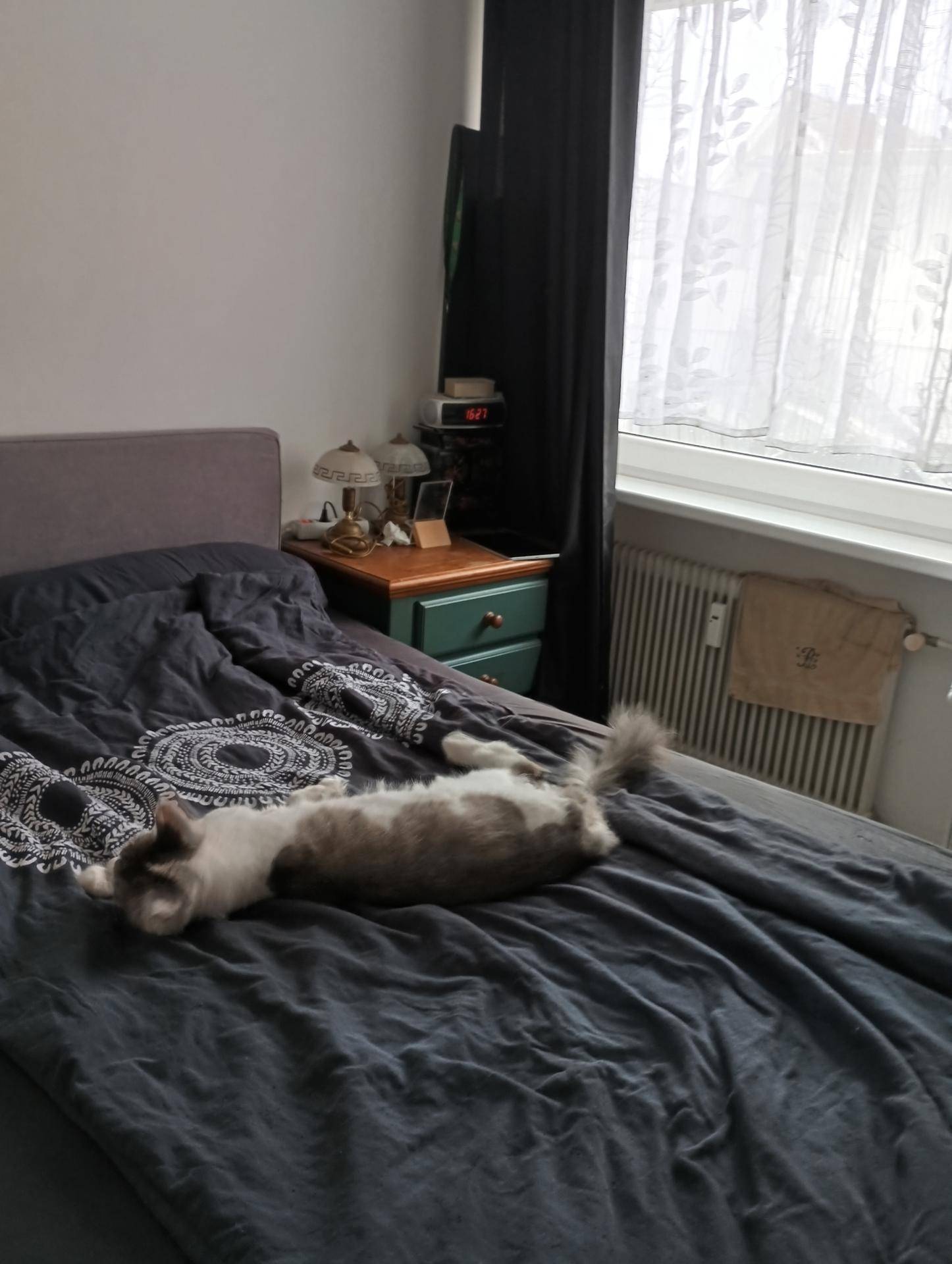 Schlafzimmer mit einem bequemen Bett, Nachttisch und einem Fenster mit hellen Vorhängen.