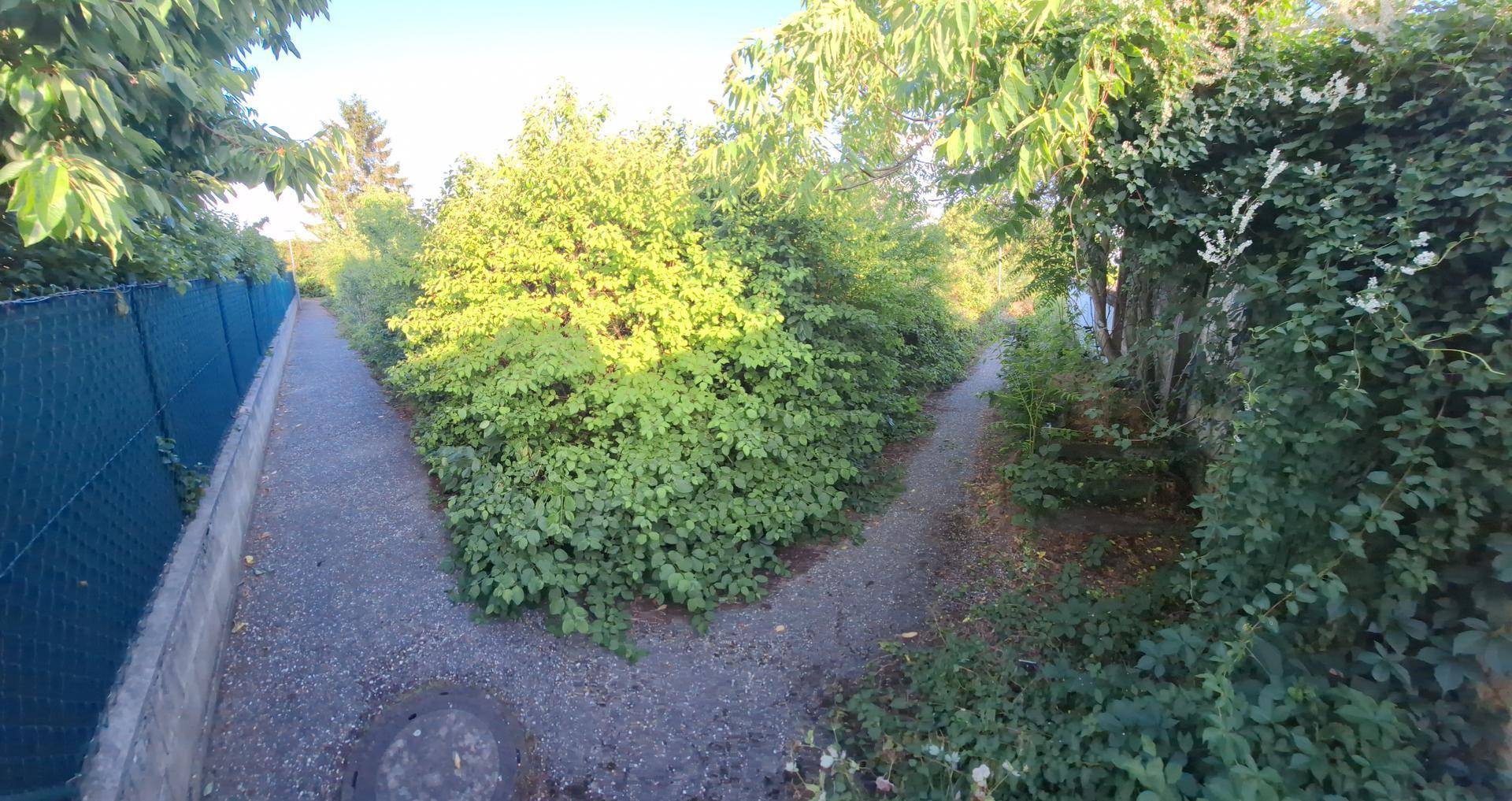 Naturgarten, Garten, Dein Projekt Erholungsoase - Ansicht 6