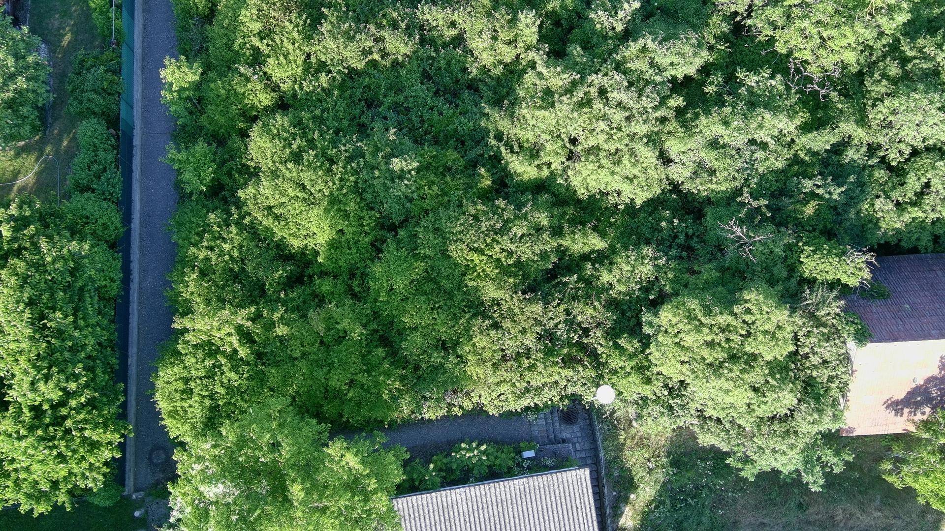Naturgarten, Garten, Dein Projekt Erholungsoase - Ansicht 2