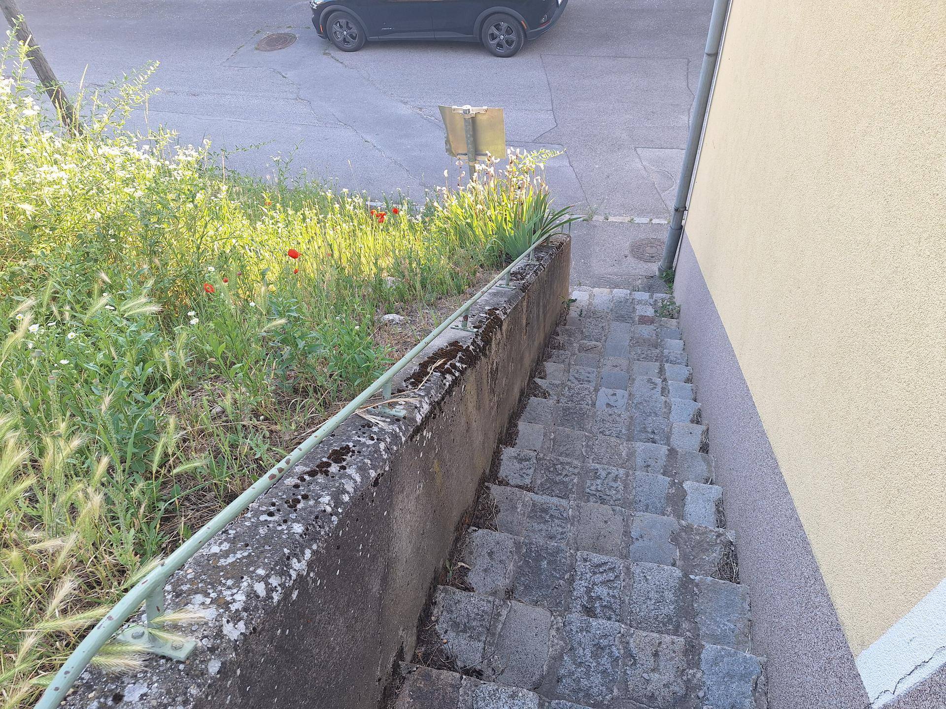 Steintreppe mit grünem Geländer führt von einem begrünten Bereich hinunter zur Straße.