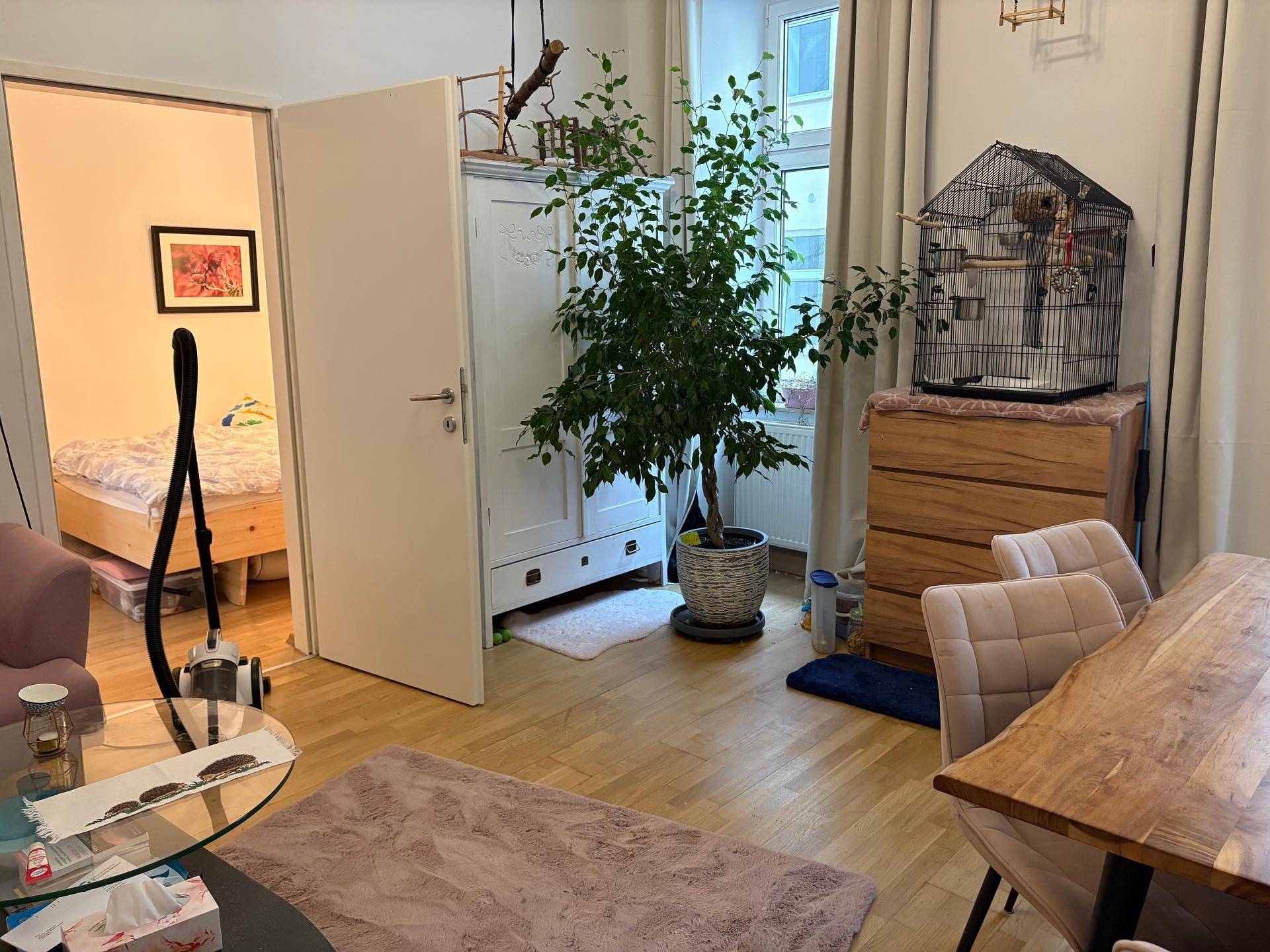 Heller Wohnbereich mit großem Fenster, Zimmerpflanze und Zugang zu einem weiteren Zimmer.