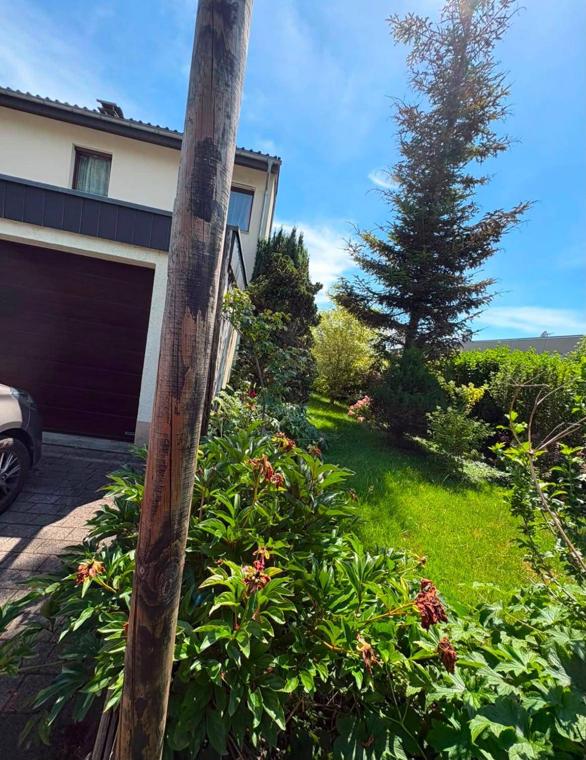 Seitlicher Gartenbereich mit üppiger Bepflanzung, Bäumen und Rasenfläche.