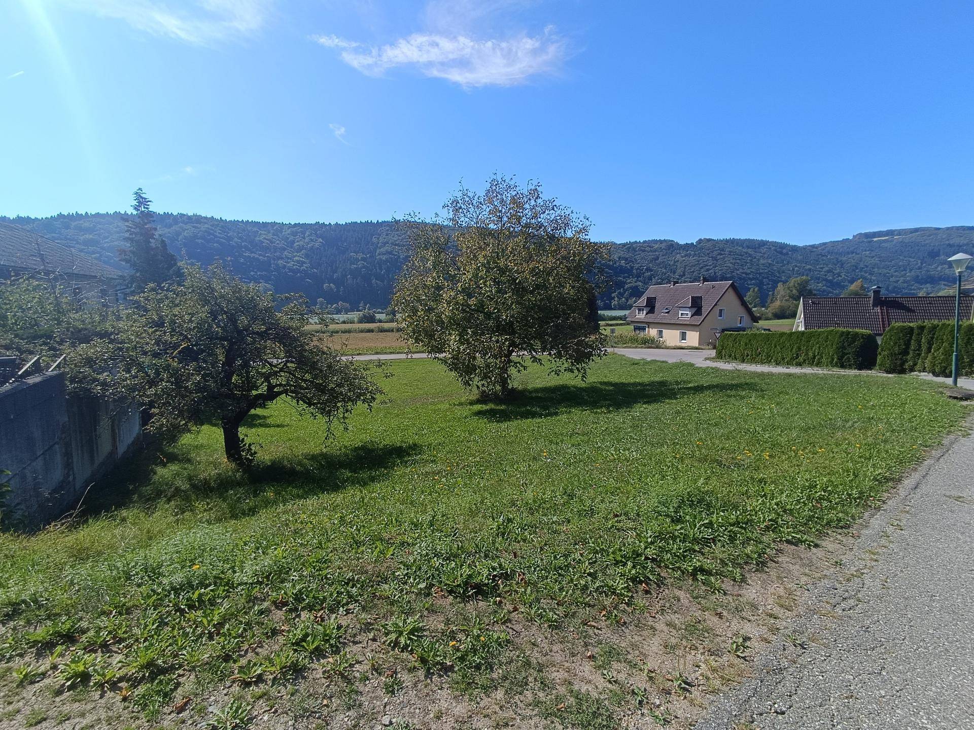 Großes Baugrundstück in sonniger Traumlage mit Donaublick nahe Ybbs a.d. Donau. Kein Bauzwang! - Ansicht 2
