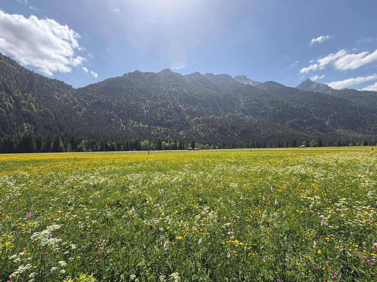 ALPENROYAL LEUTASCH: LUXUS HEUTE. SICHERHEIT FÜRS LEBEN. - Ansicht 3