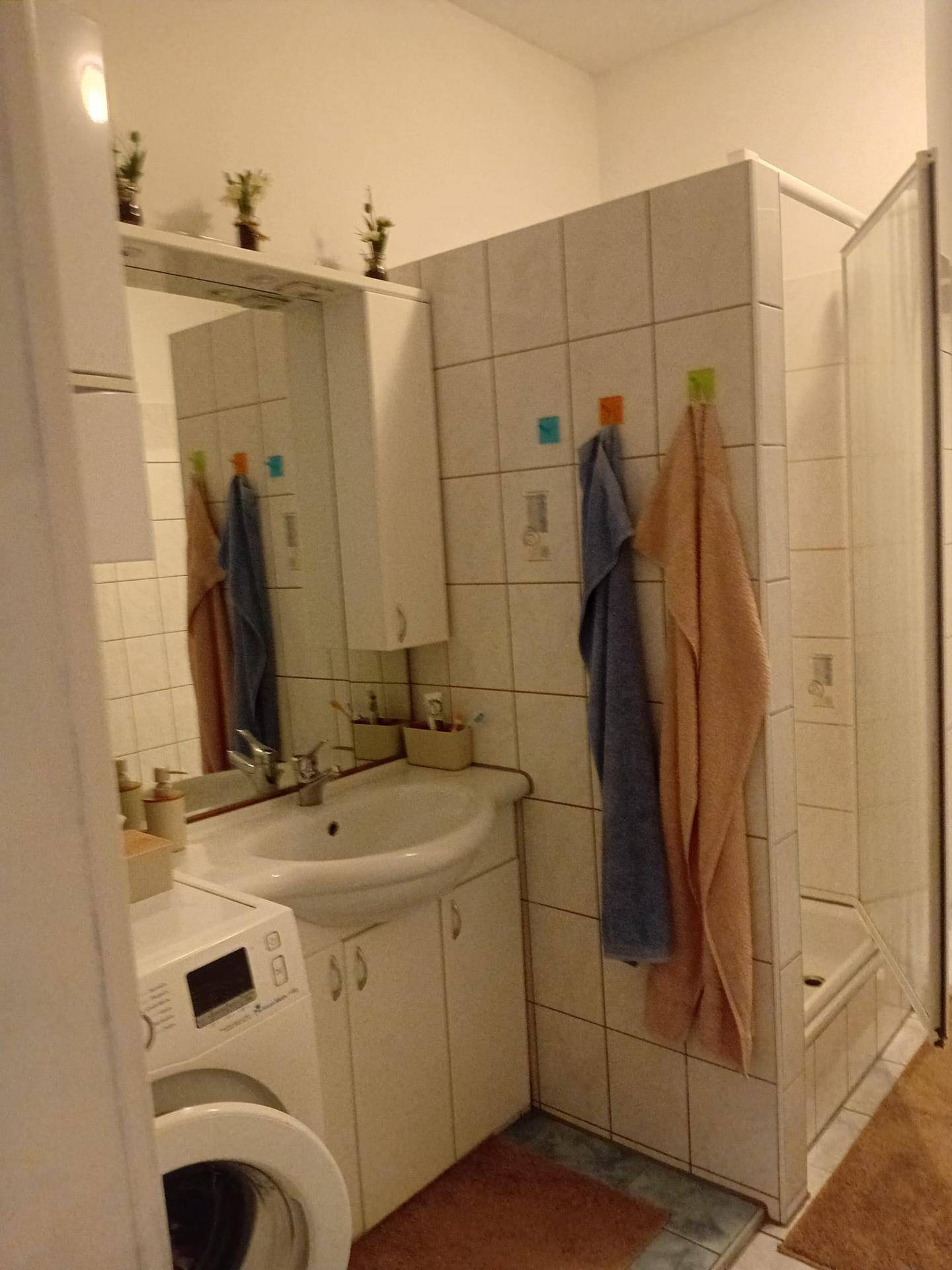 Badezimmer mit Duschkabine, Waschbecken, Spiegelschrank und integrierter Waschmaschine.