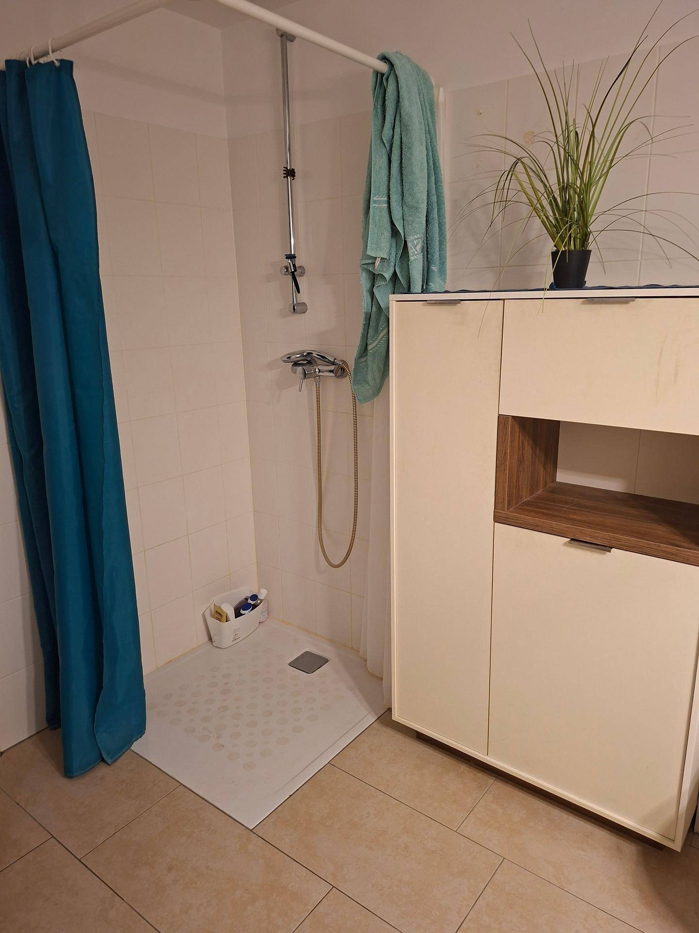 westseitige Sonnige Terrassen Wohnung - Więcej