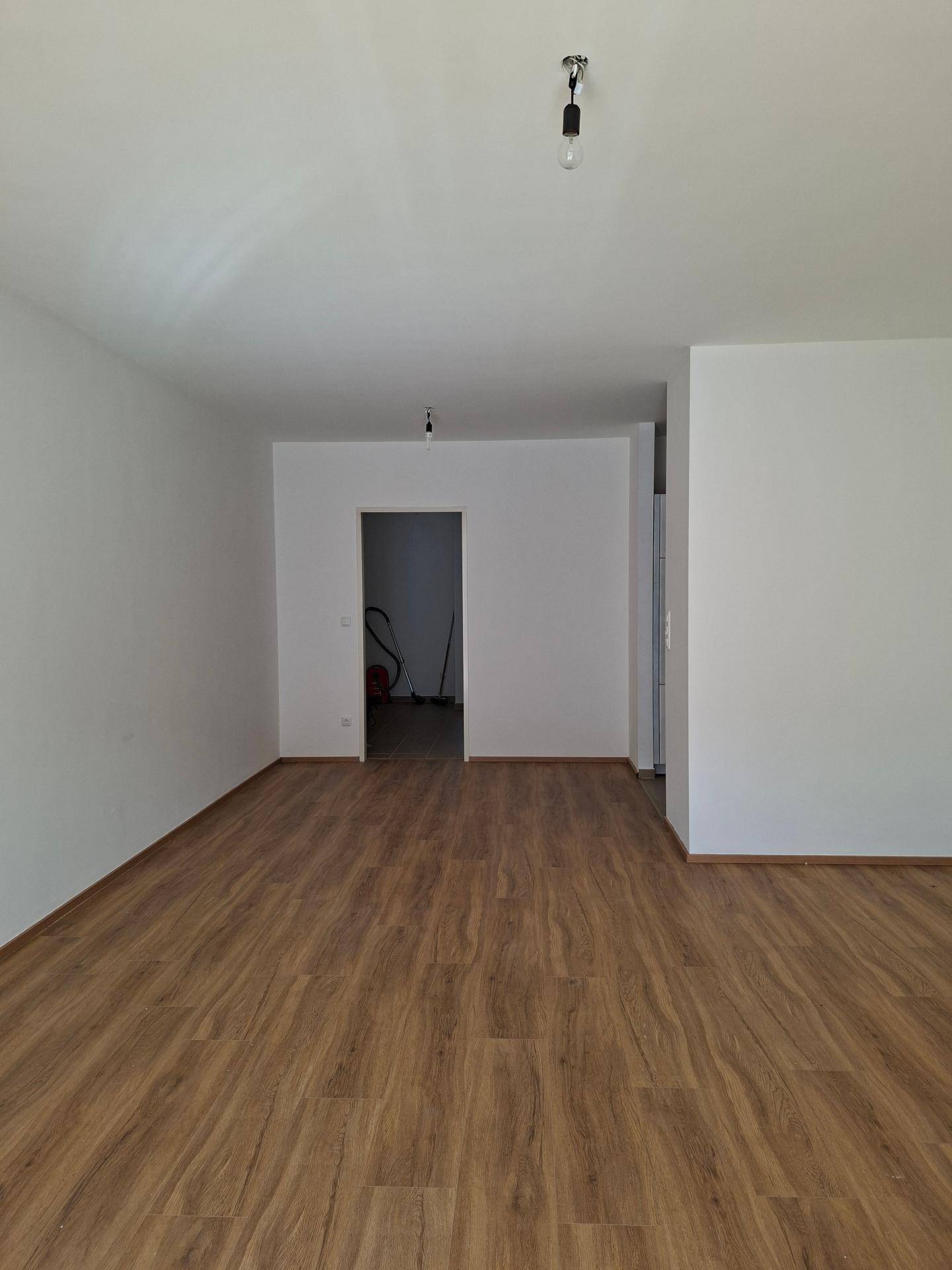 Geräumiger, leerer Raum mit Laminatboden und weiß gestrichenen Wänden.