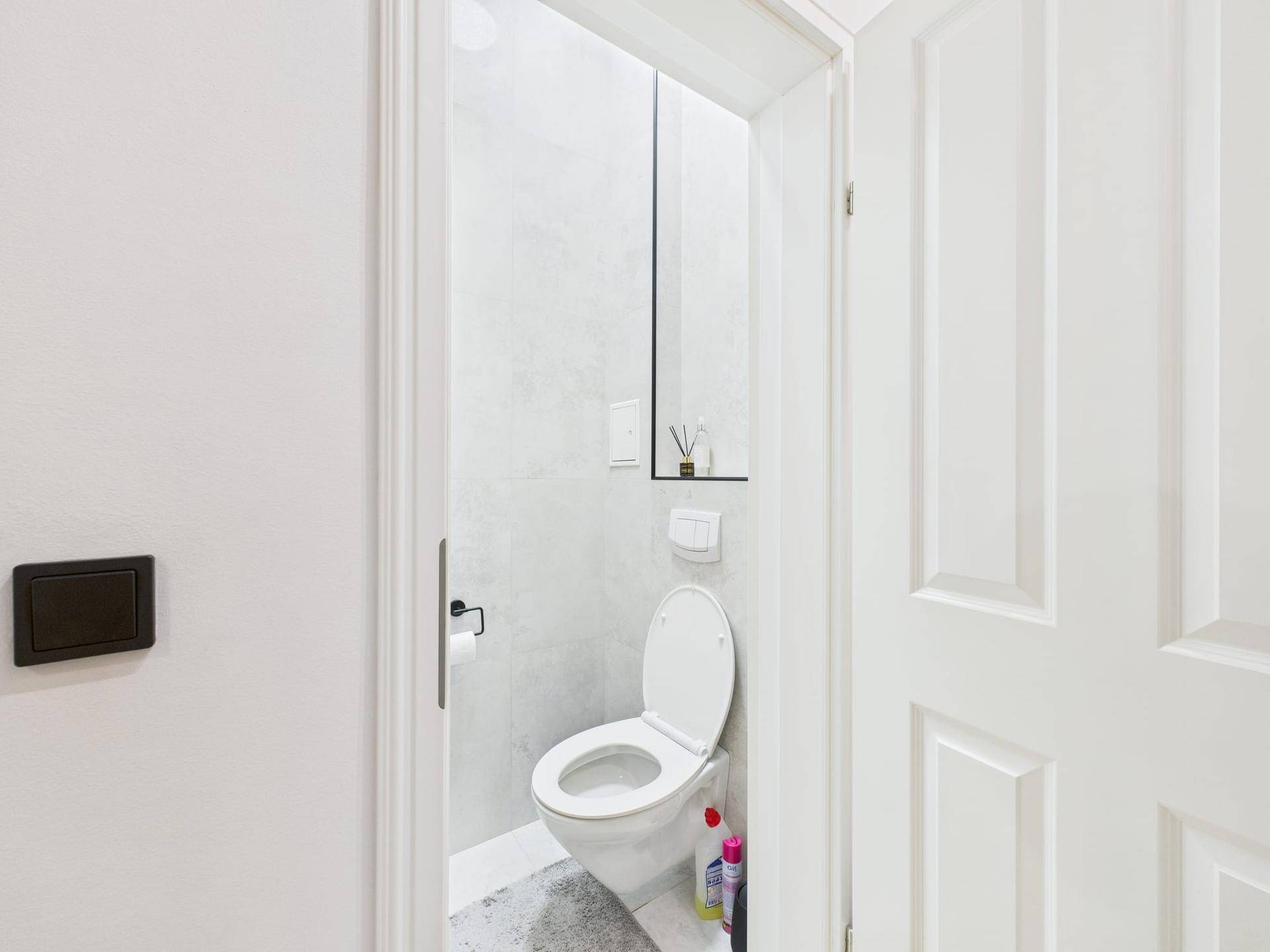 Kleines separates WC mit wandmontierter Toilette und minimalistischem Design.