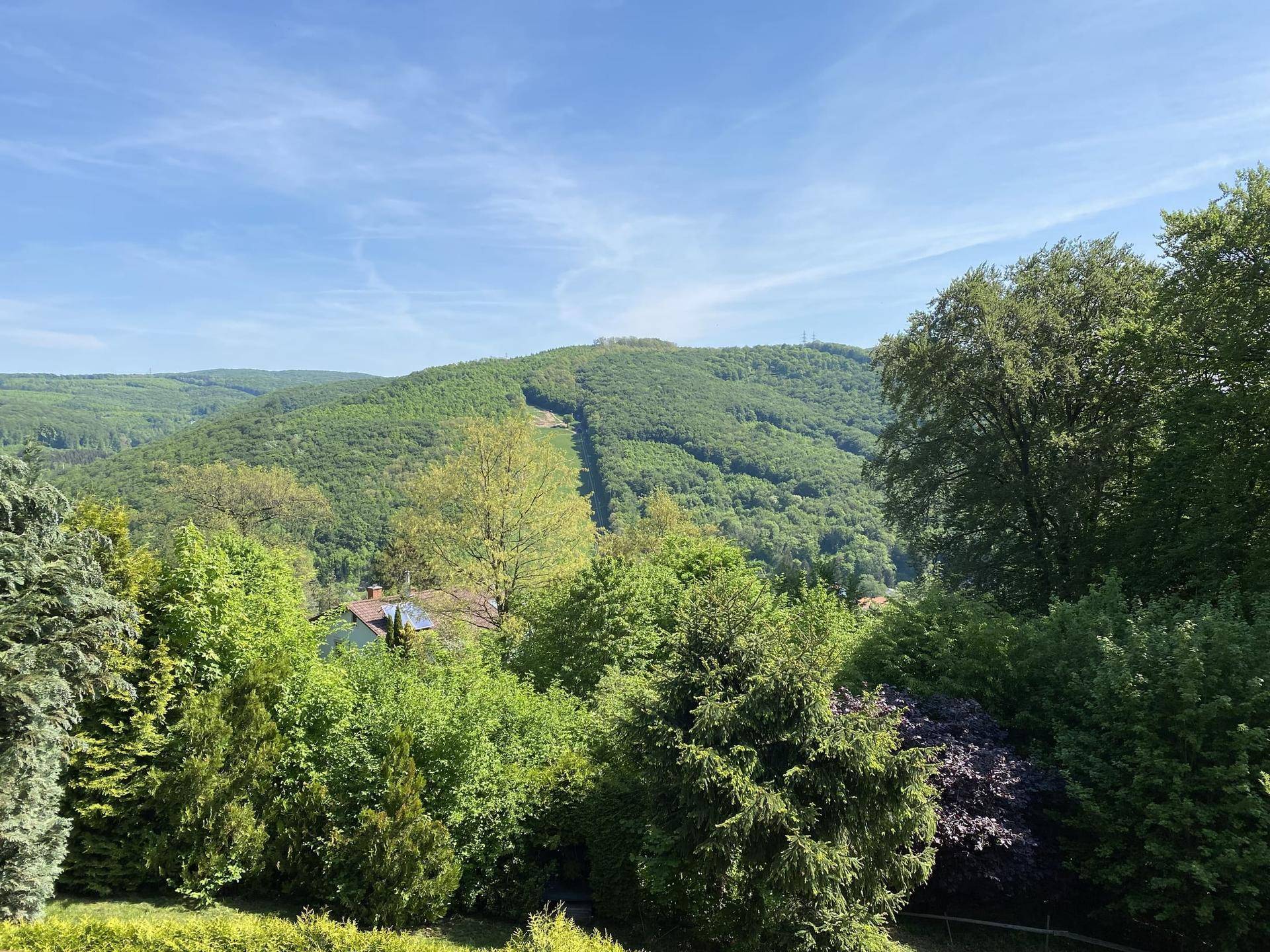 Weitläufiger Blick über die grüne Hügellandschaft und bewaldete Umgebung an einem sonnigen Tag.