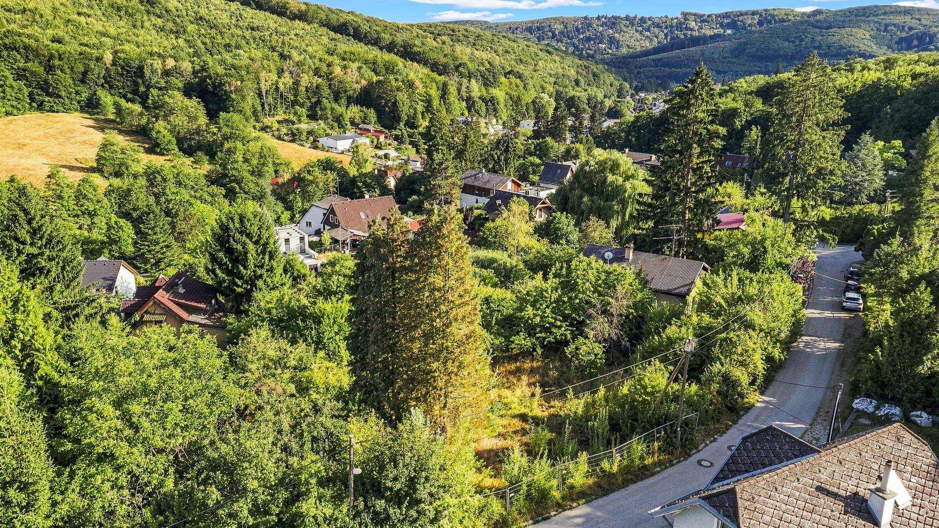 Nahaufnahme aus der Luft eines grünen Grundstücks an einer Straße, umgeben von Bäumen und Häusern.
