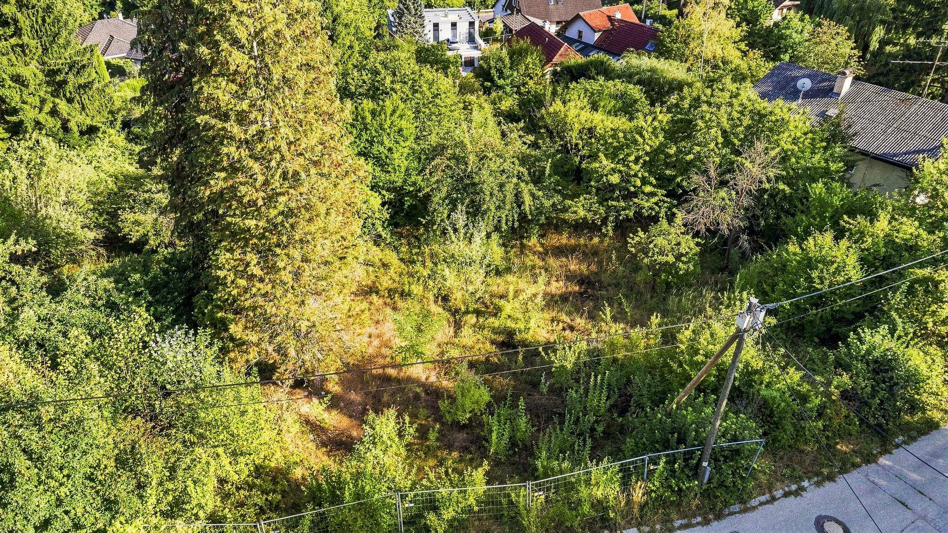 Blick von oben auf ein unbebautes, grünes Grundstück mit angrenzender Straße und Häusern.