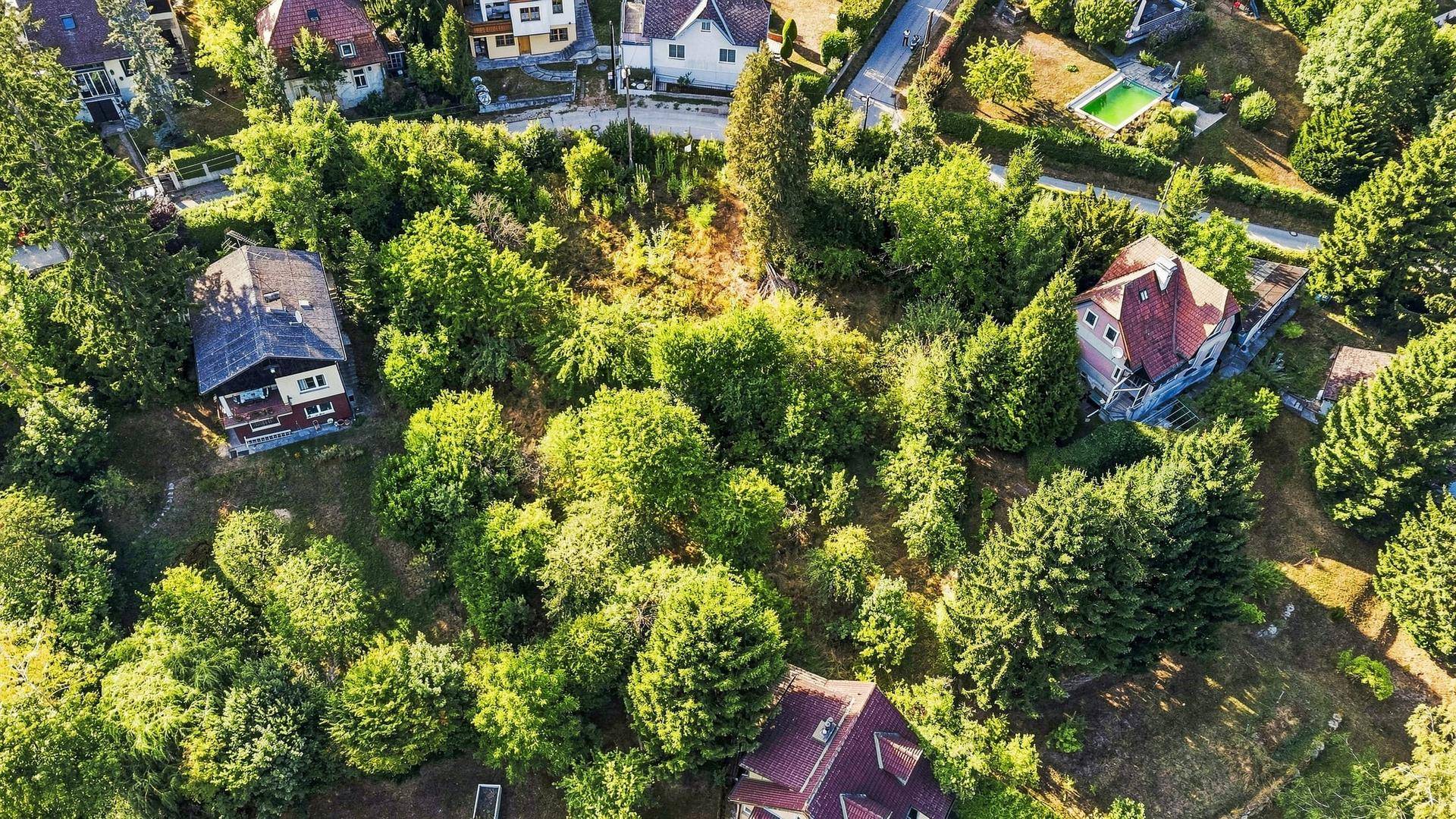 Luftaufnahme eines großen, grünen Grundstücks umgeben von Einfamilienhäusern und üppiger Vegetation.