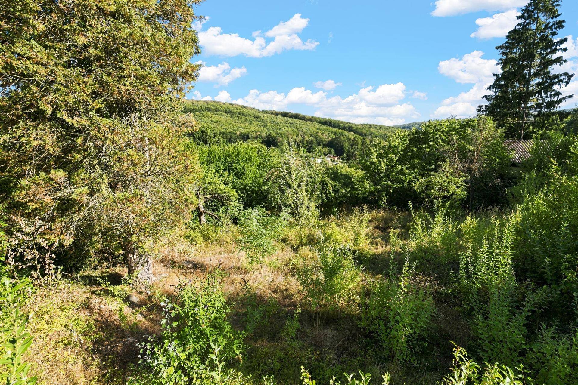 Weitläufiges, grünes Grundstück mit hohem Gras und Bäumen, umgeben von einer malerischen Hügellandschaft unter blauem Himmel.