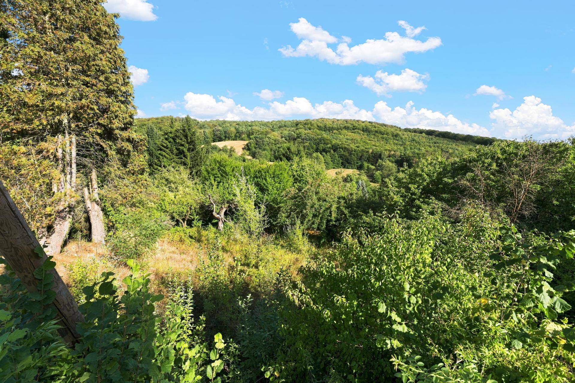 Panoramablick über ein naturbelassenes Grundstück mit vielfältiger Vegetation und sanften, bewaldeten Hügeln am Horizont.