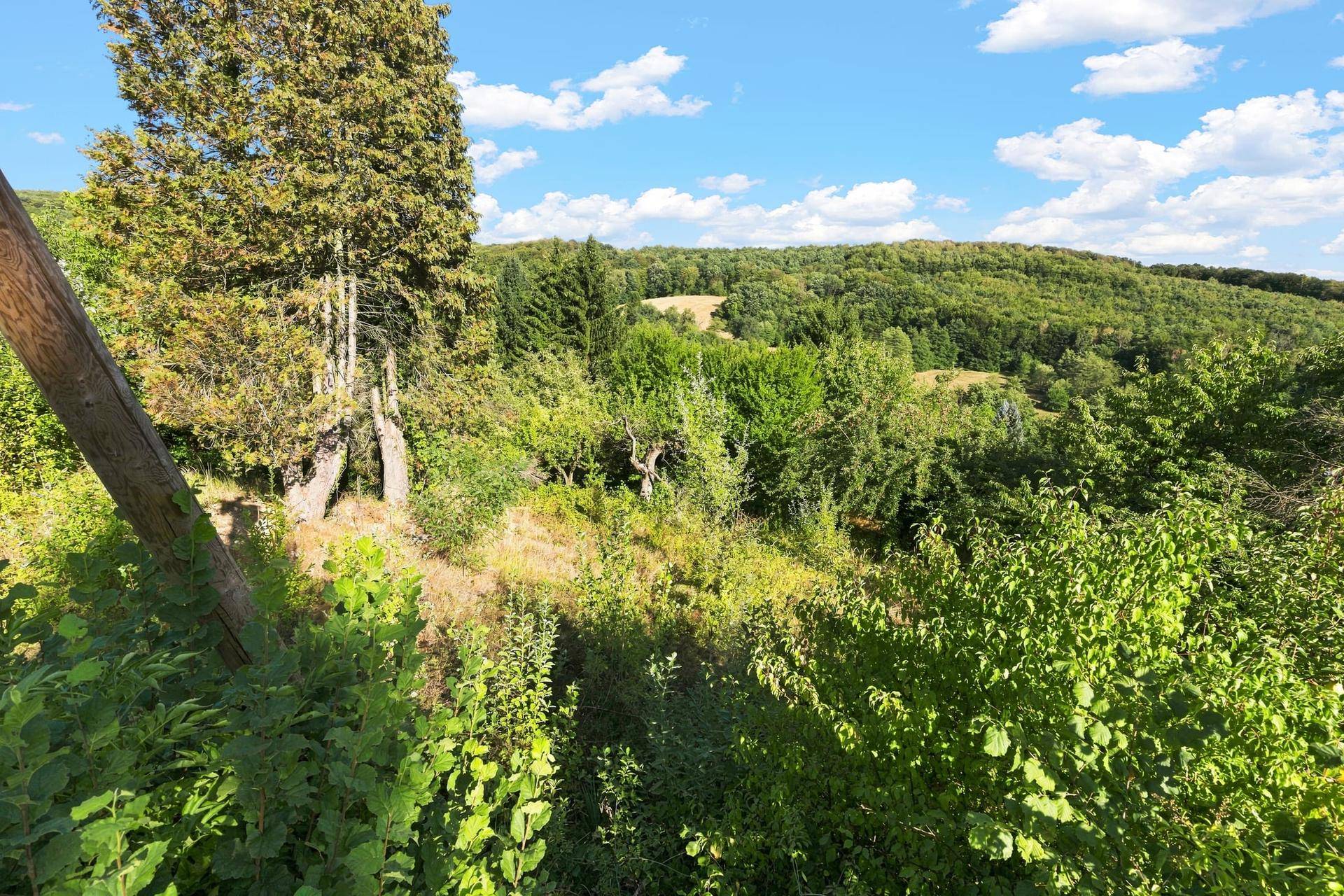 Idyllische Landschaft mit einem grünen Grundstück im Vordergrund und einer weiten, bewaldeten Hügellandschaft unter blauem Himmel.