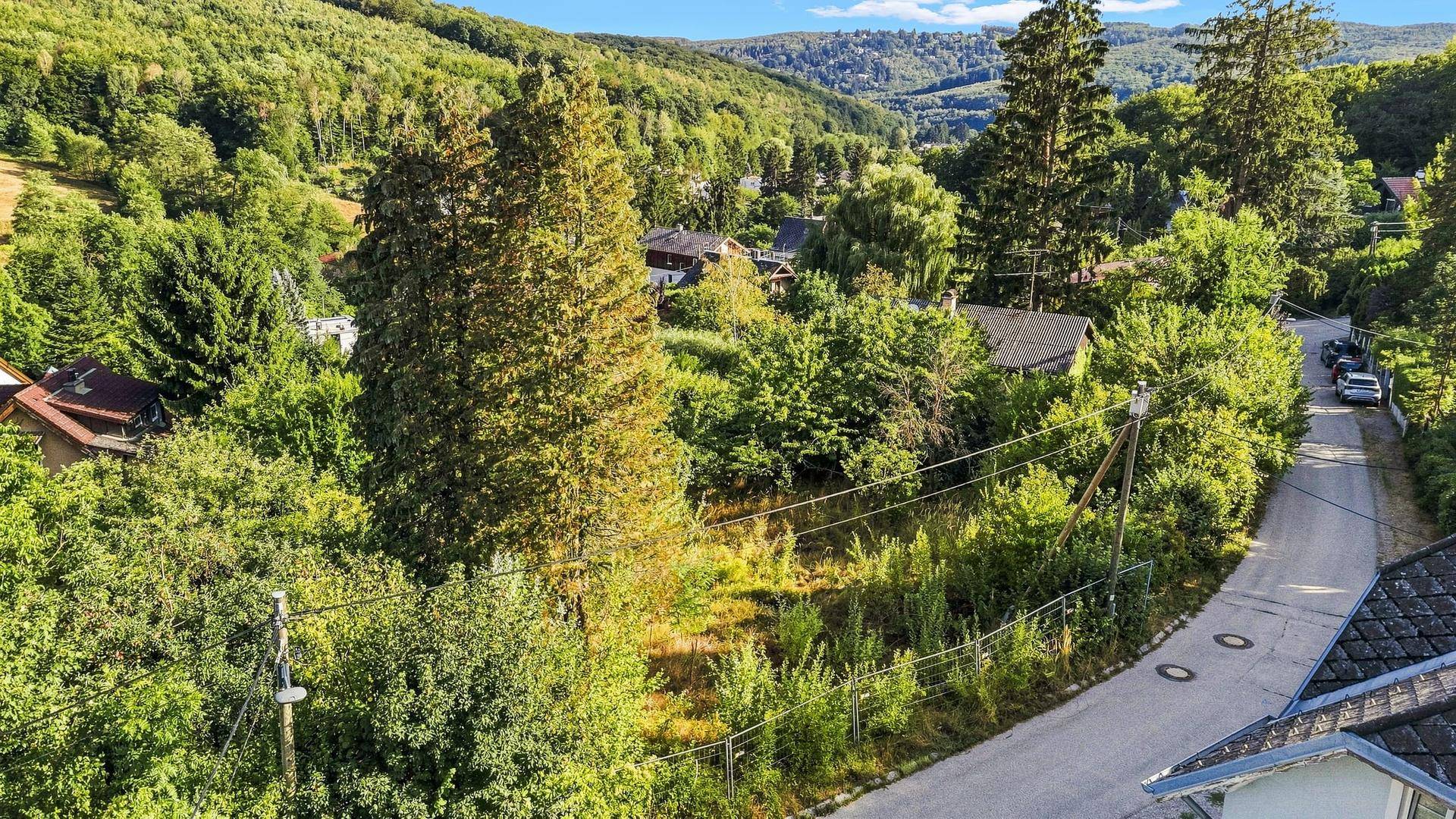 Erhöhter Blick auf ein grünes Grundstück, eine Straße und Häuser in einem Tal, umgeben von bewaldeten Hügeln.