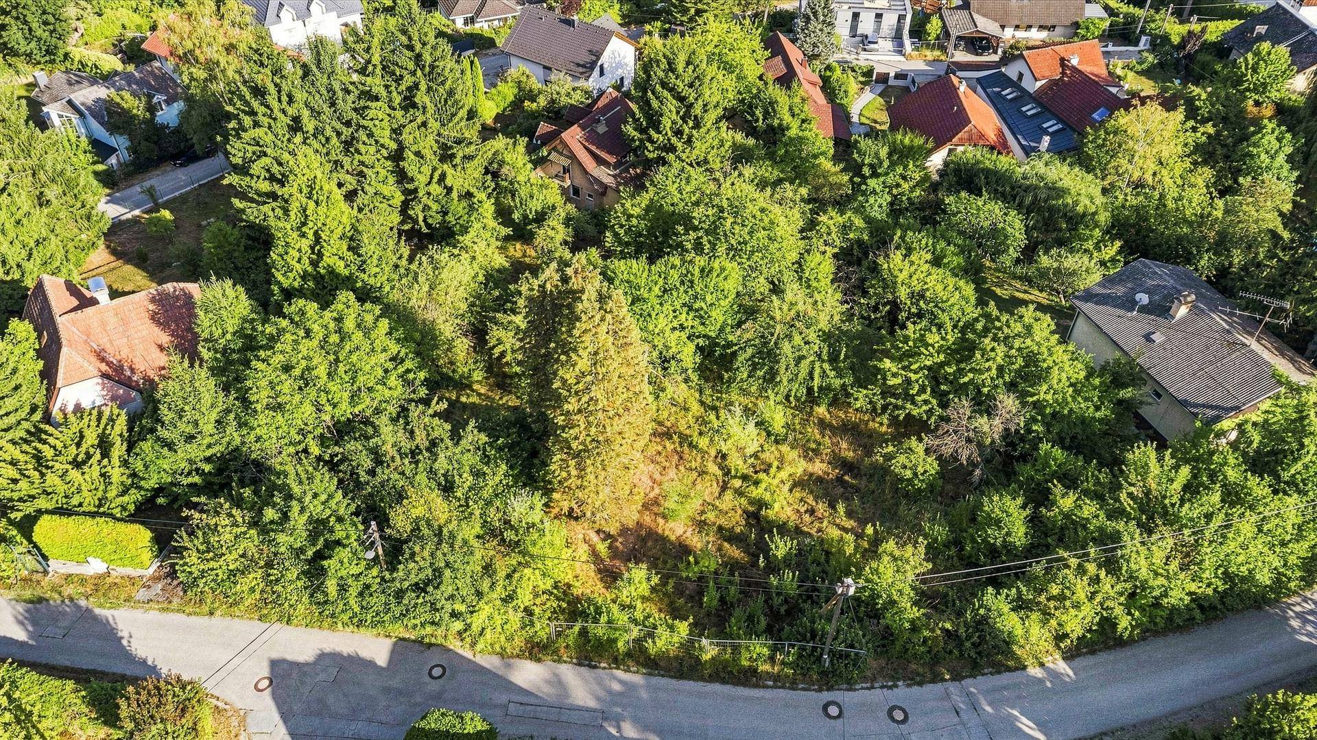 Luftaufnahme eines unbebauten Grundstücks mit dichter Vegetation, angrenzend an eine Straße und umgeben von Bäumen und Häusern.