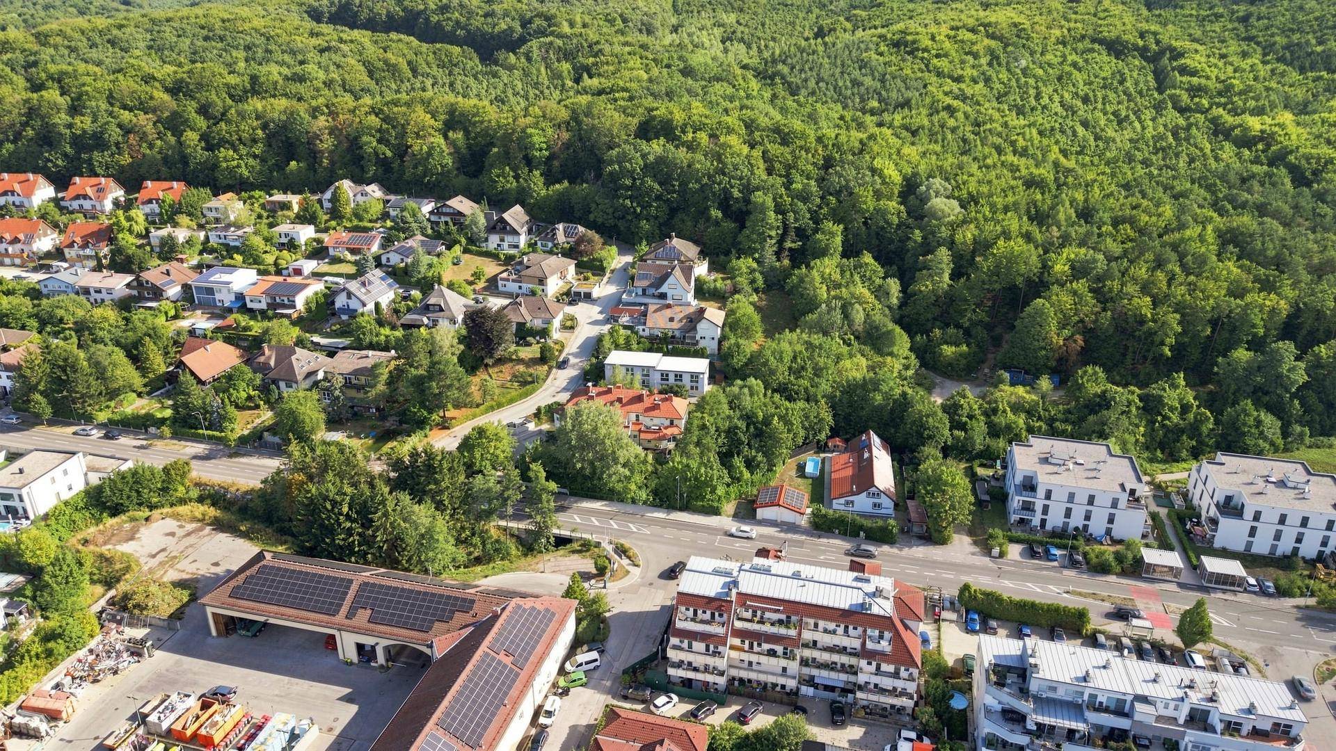Luftaufnahme einer Wohngegend mit viel Grün, angrenzendem Wald und einer Straße.