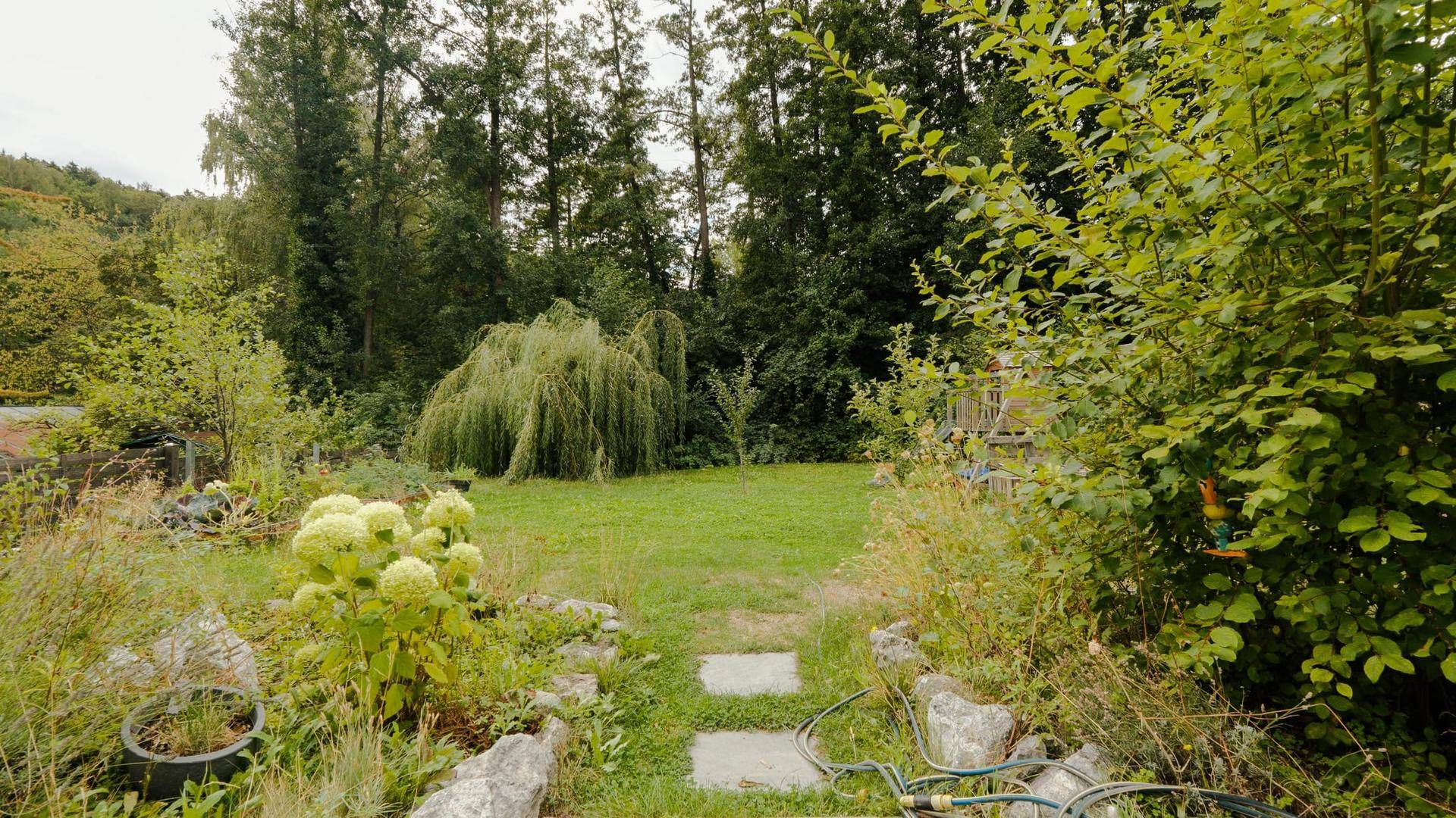 Gepflegter Garten mit Rasen, Sträuchern und einem Weg aus Steinplatten.