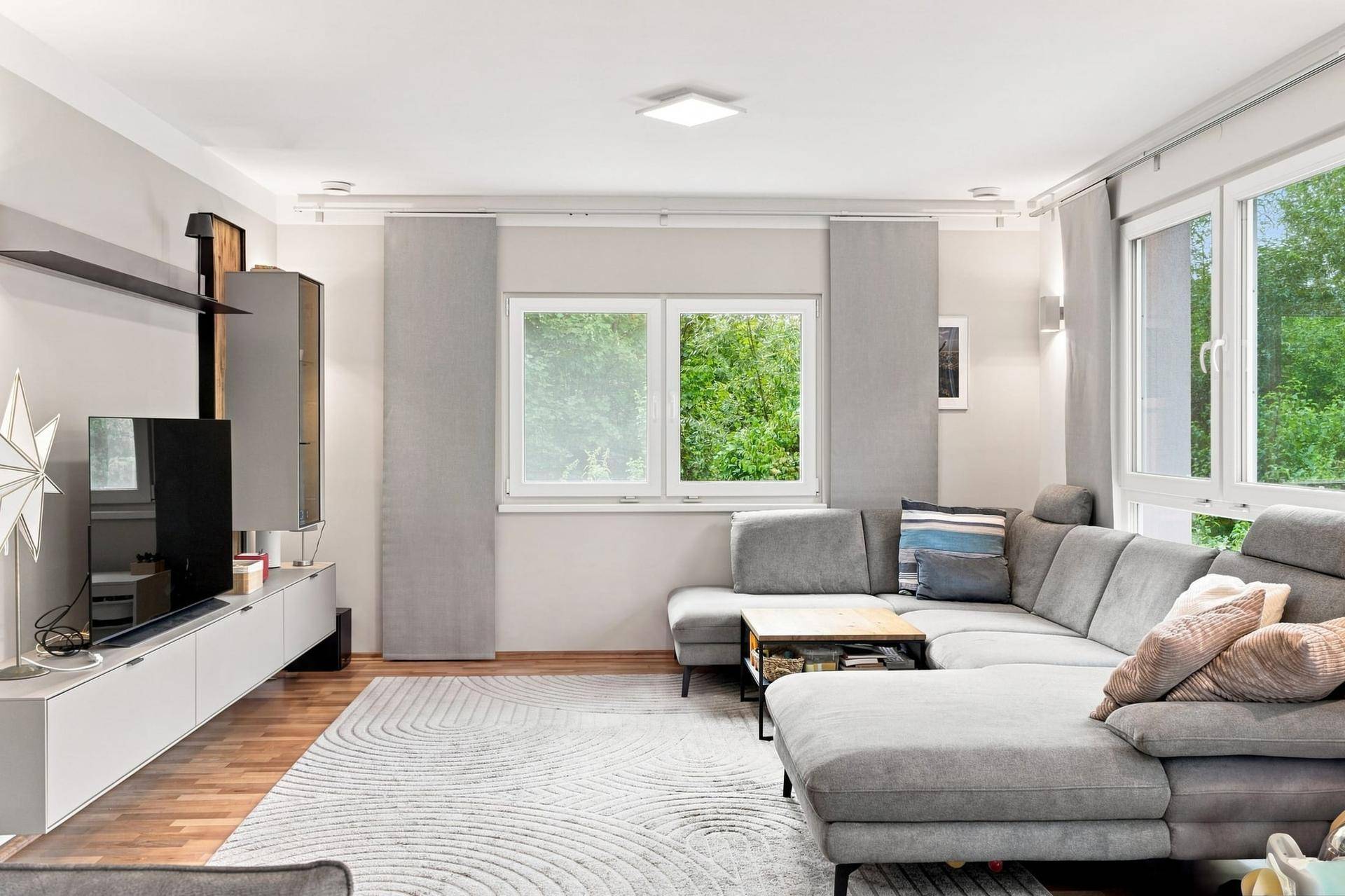 Geräumiges Wohnzimmer mit modernem Sofa, TV-Möbel und Blick auf die grüne Umgebung.