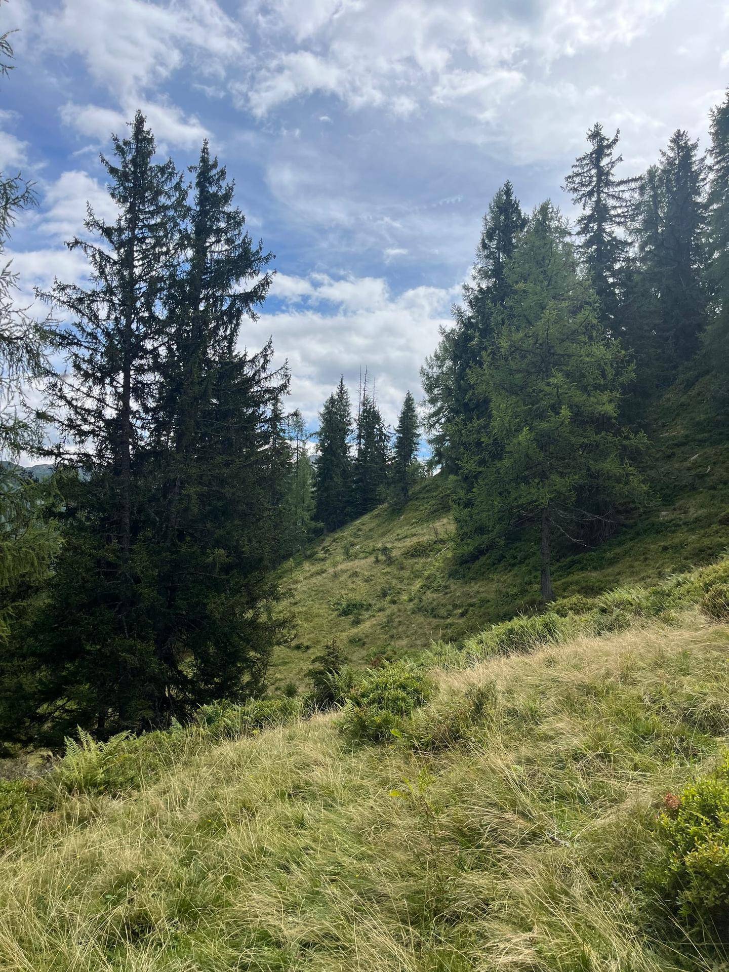 IMG_6659.jpeg