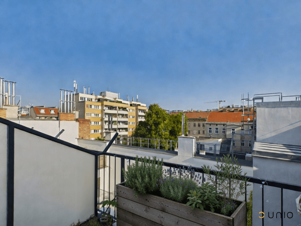 Terrasse3.png