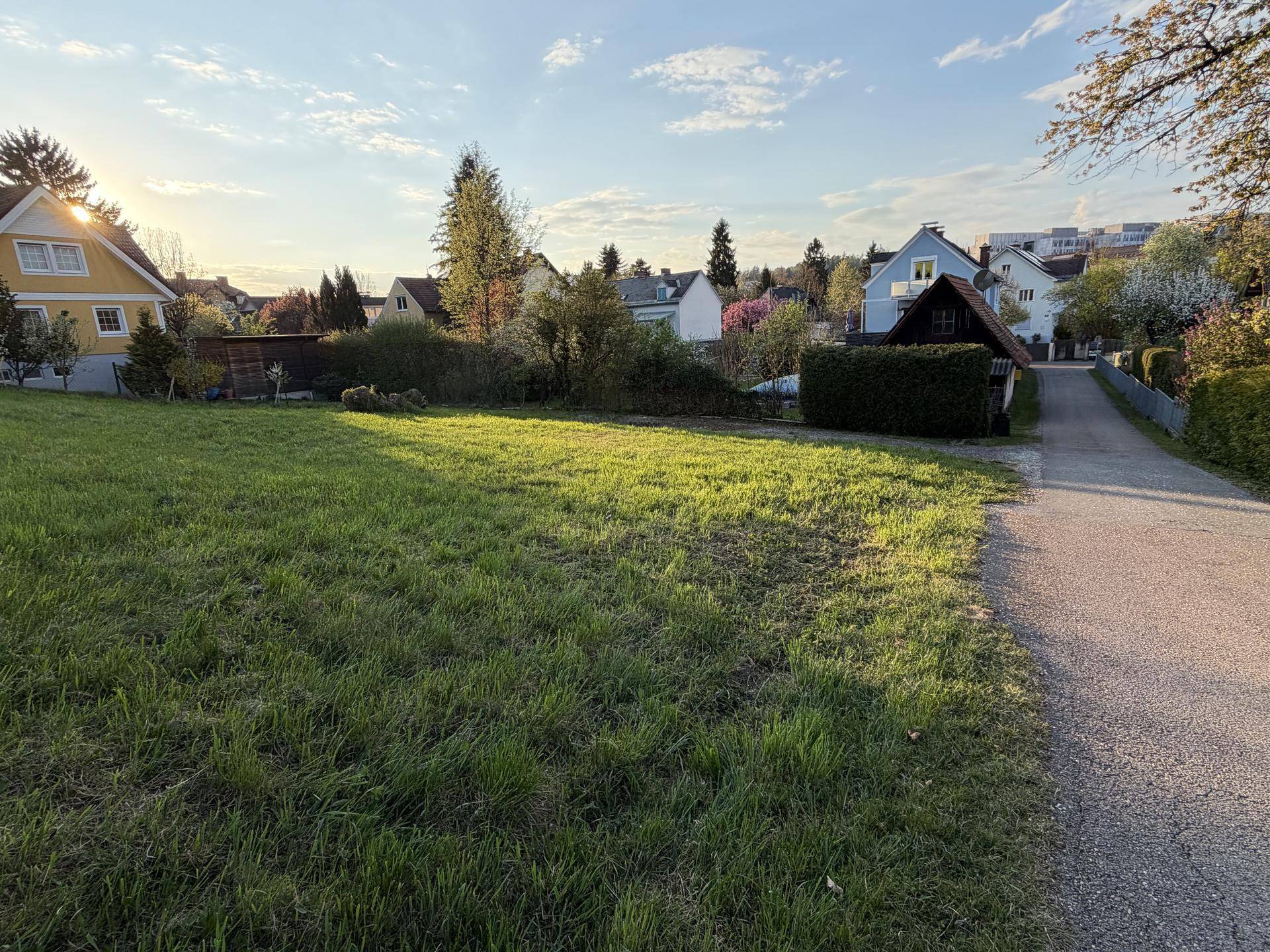 Sonniger Blick auf ein grünes Grundstück mit Rasenfläche und einem Weg, umgeben von Wohnhäusern.