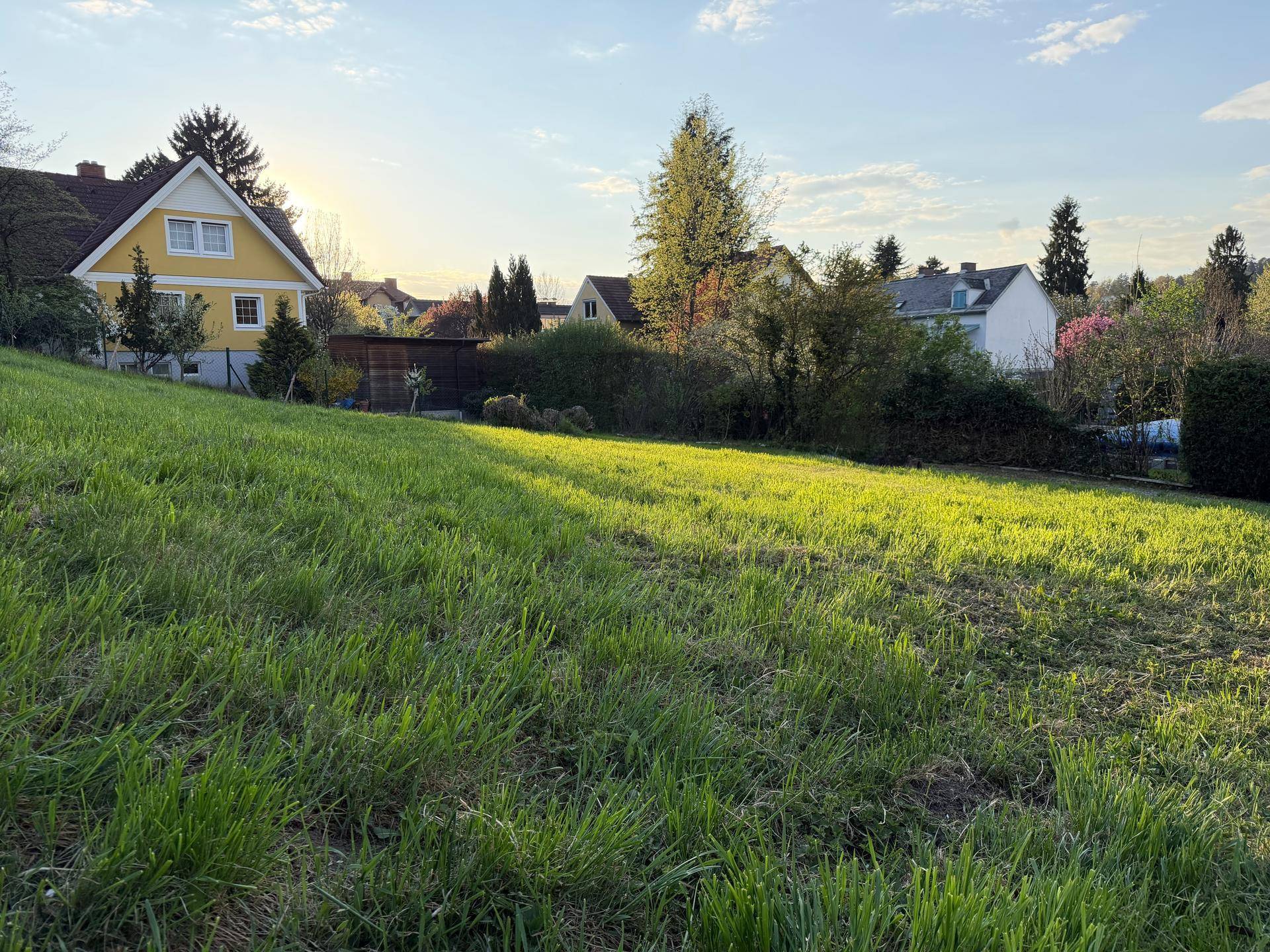 Helles, weitläufiges Grundstück mit grüner Rasenfläche und angrenzenden Wohnhäusern bei Sonnenuntergang.