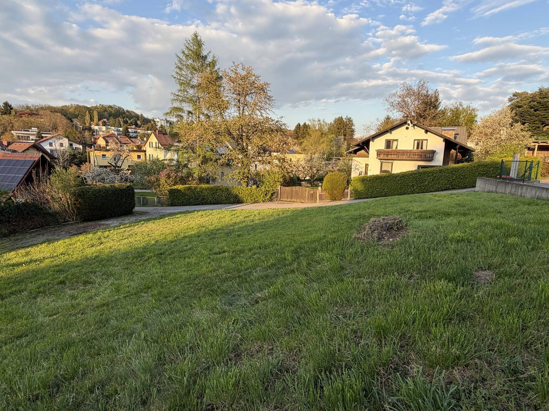 Weitläufige Rasenfläche eines Grundstücks mit Blick auf umliegende Häuser und grüne Vegetation.