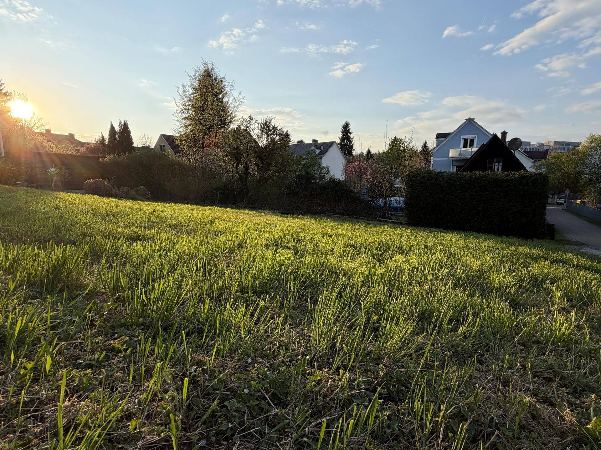 Großzügiges, sonniges Grundstück mit frischem Rasen und Blick auf die umliegende Wohnbebauung.