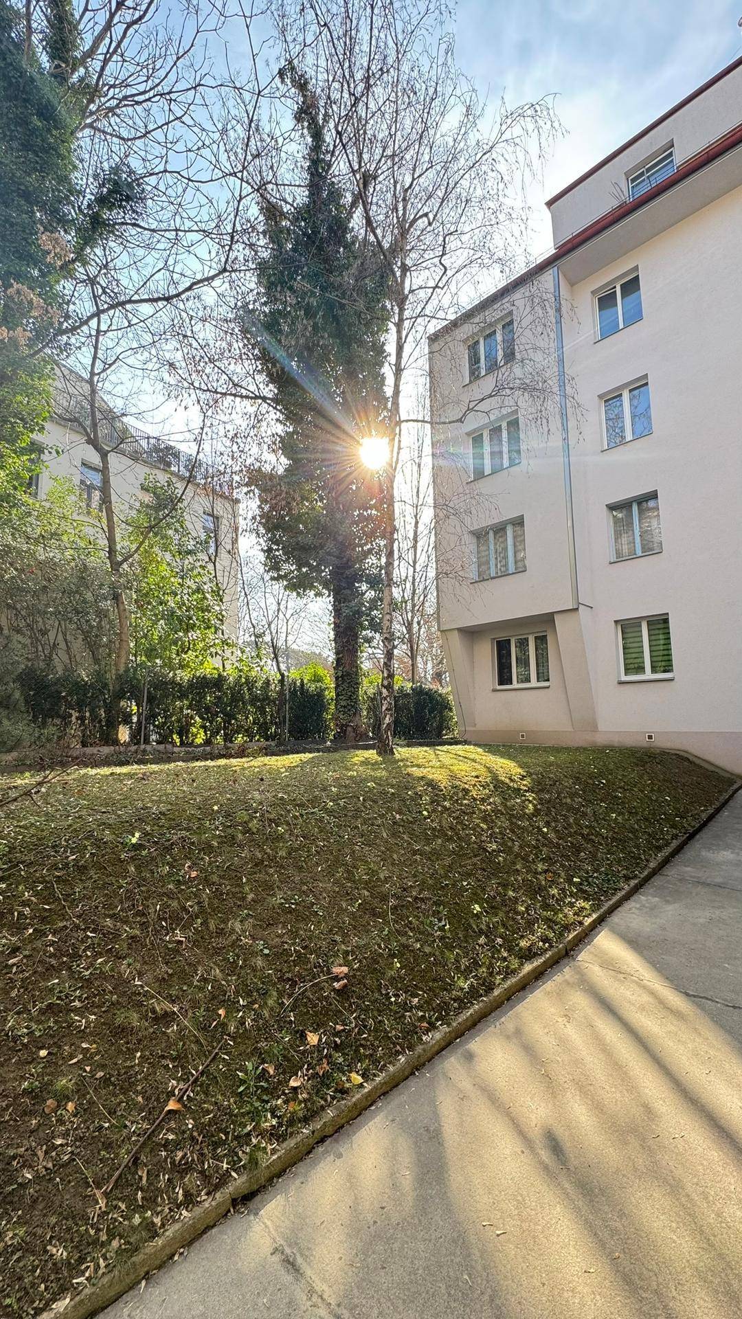 Sonnige Grünfläche mit Bäumen und einem Mehrfamilienhaus im Hintergrund.