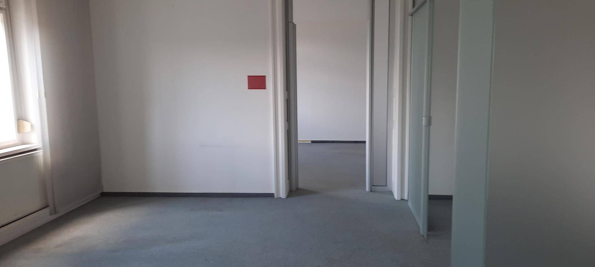 Leerer Büroraum mit mehreren Türen und grauem Teppichboden, bereit zur individuellen Gestaltung.