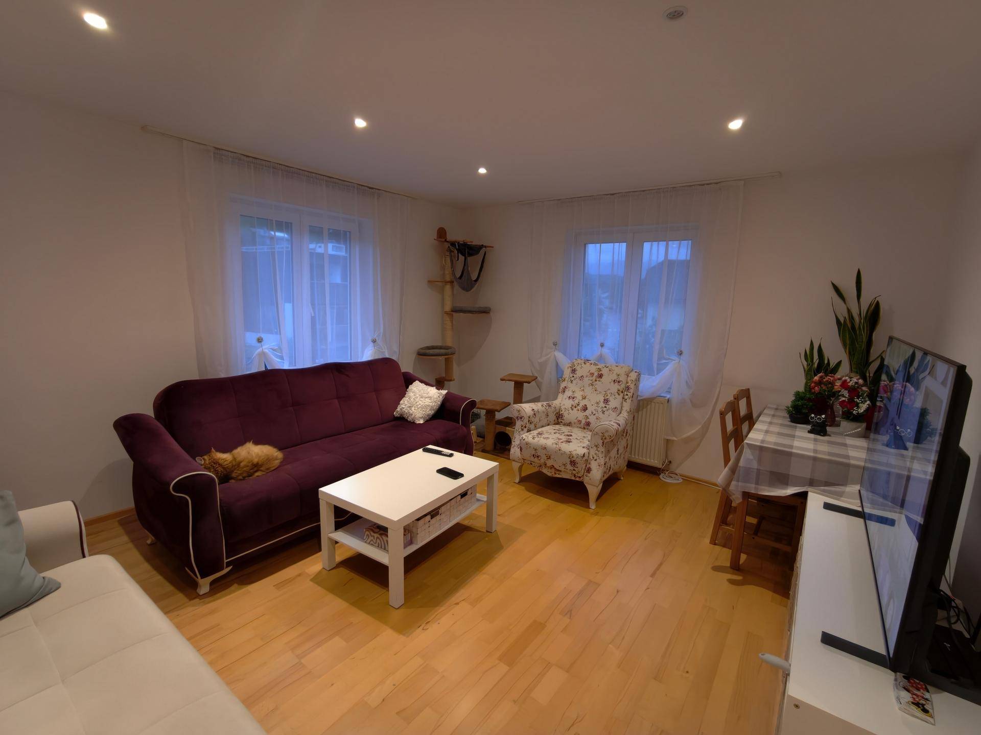 Gemütliches Wohnzimmer mit lila Sofa, Esstisch und Blick in den Garten.