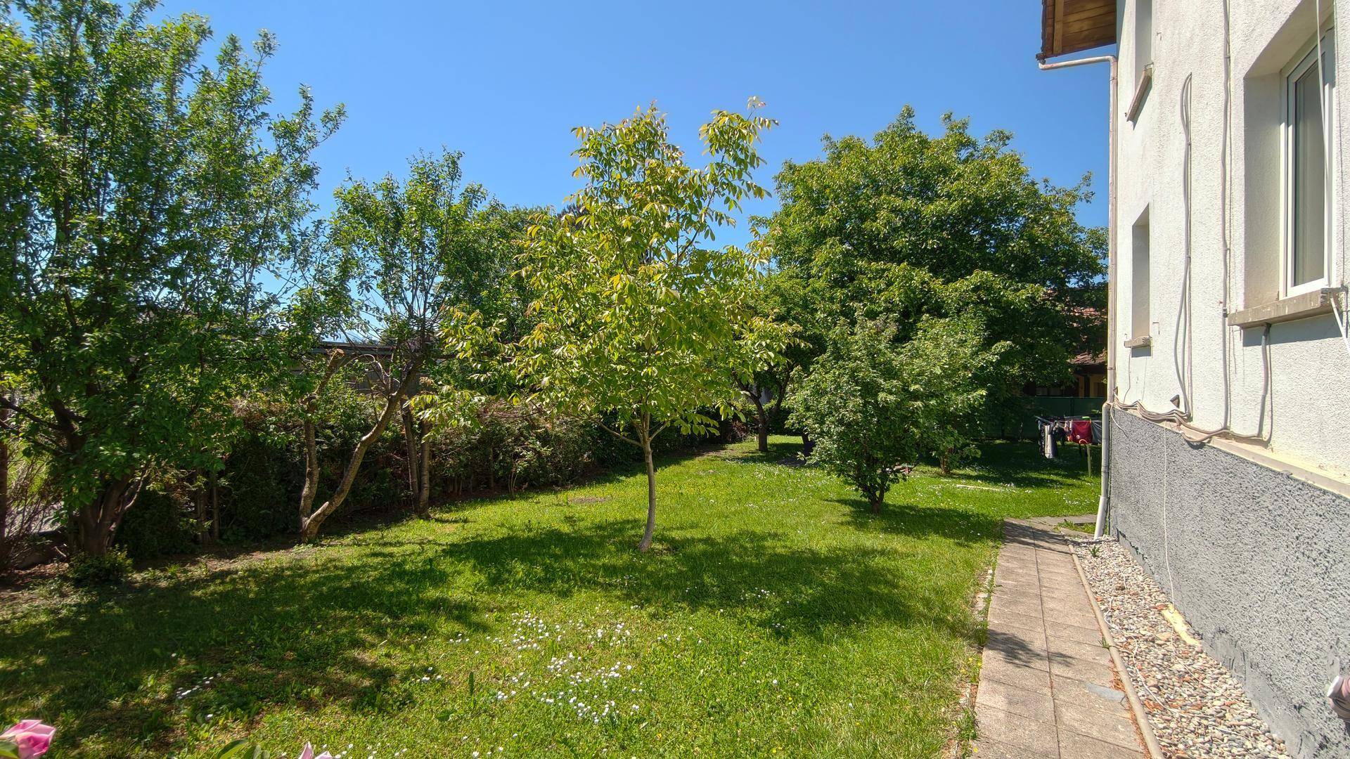 Gepflegter Gartenbereich mit Rasenfläche und jungen Bäumen neben der Hausfassade.