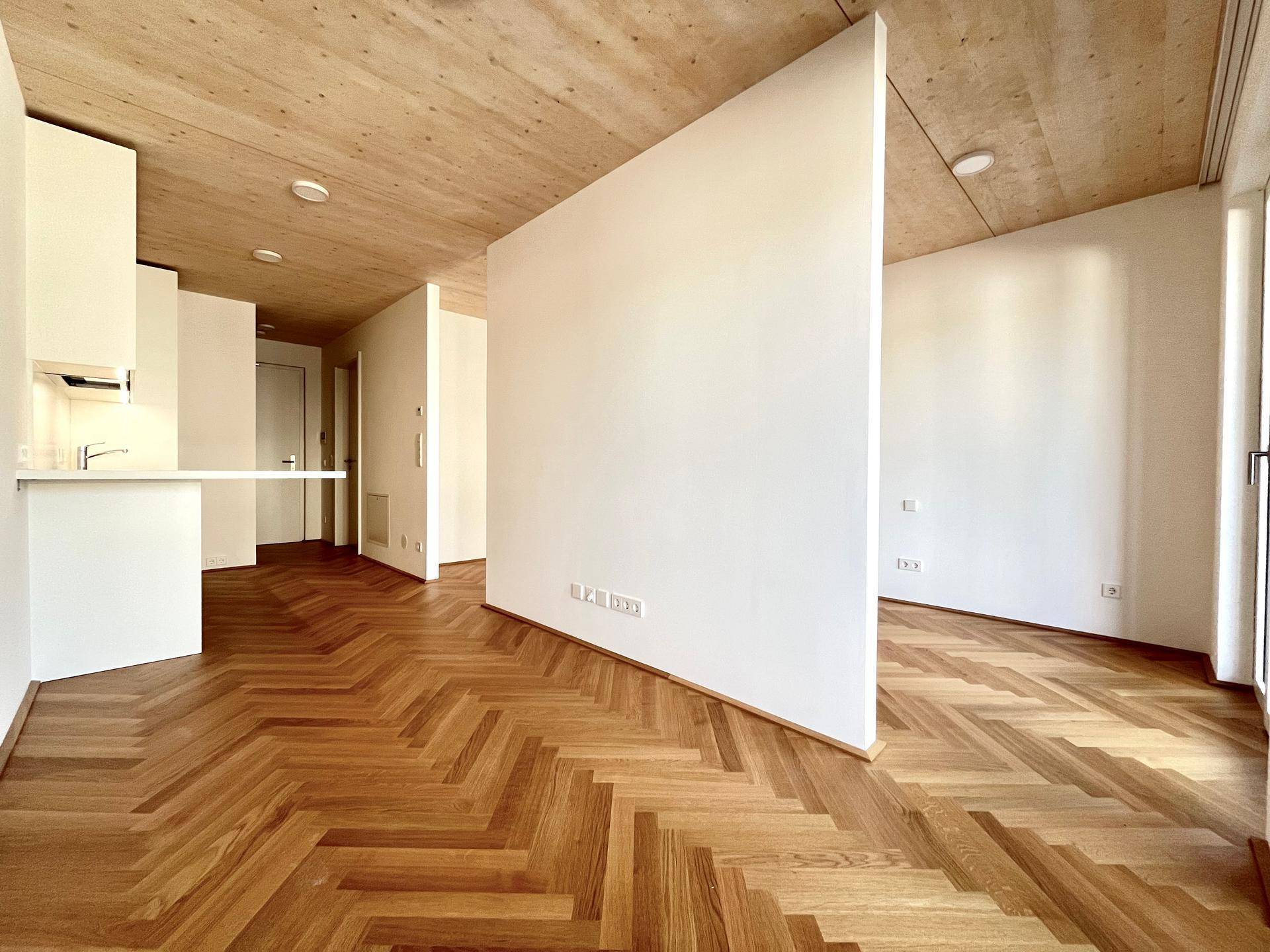 Traumhaftes Studio Appartement! Erstbezug! - Ansicht 4