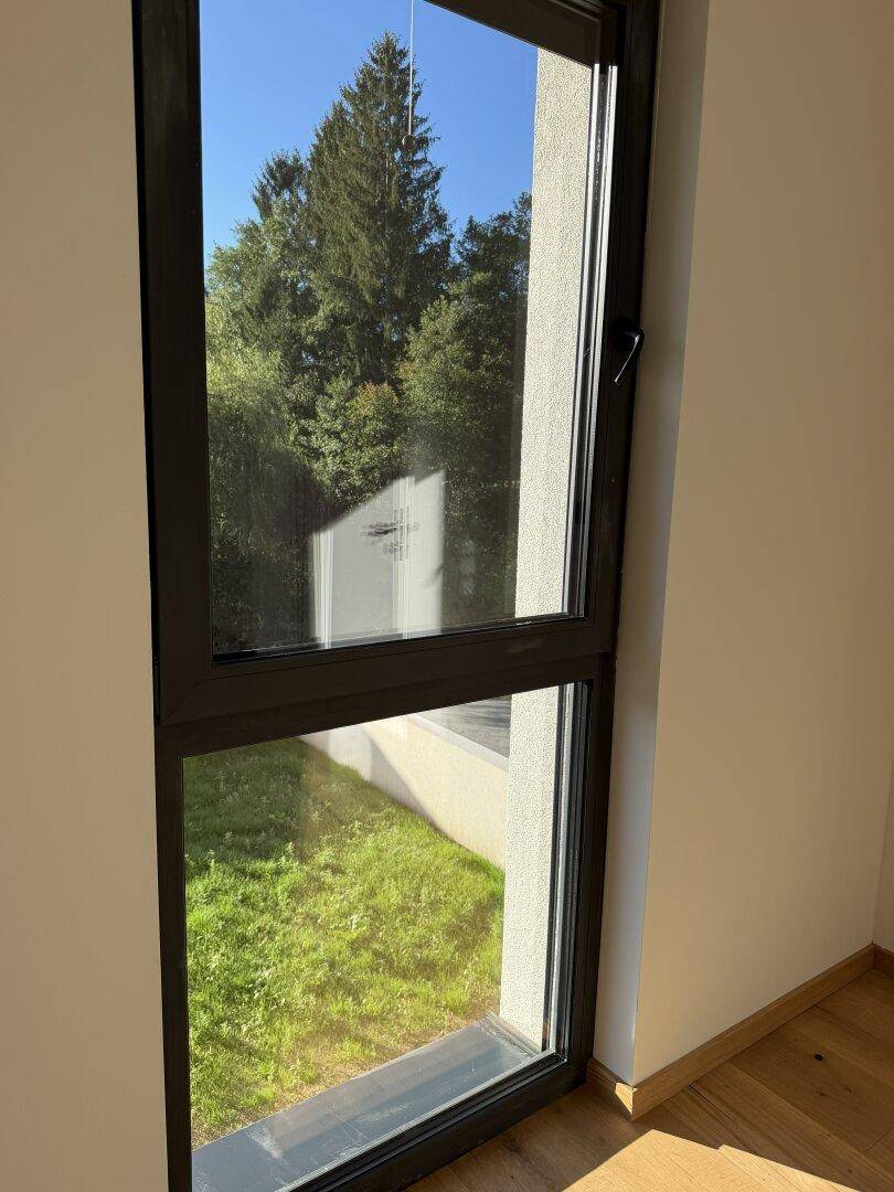 Fenster mit schwarzem Rahmen bietet einen klaren Blick auf grüne Bäume und Rasenflächen.
