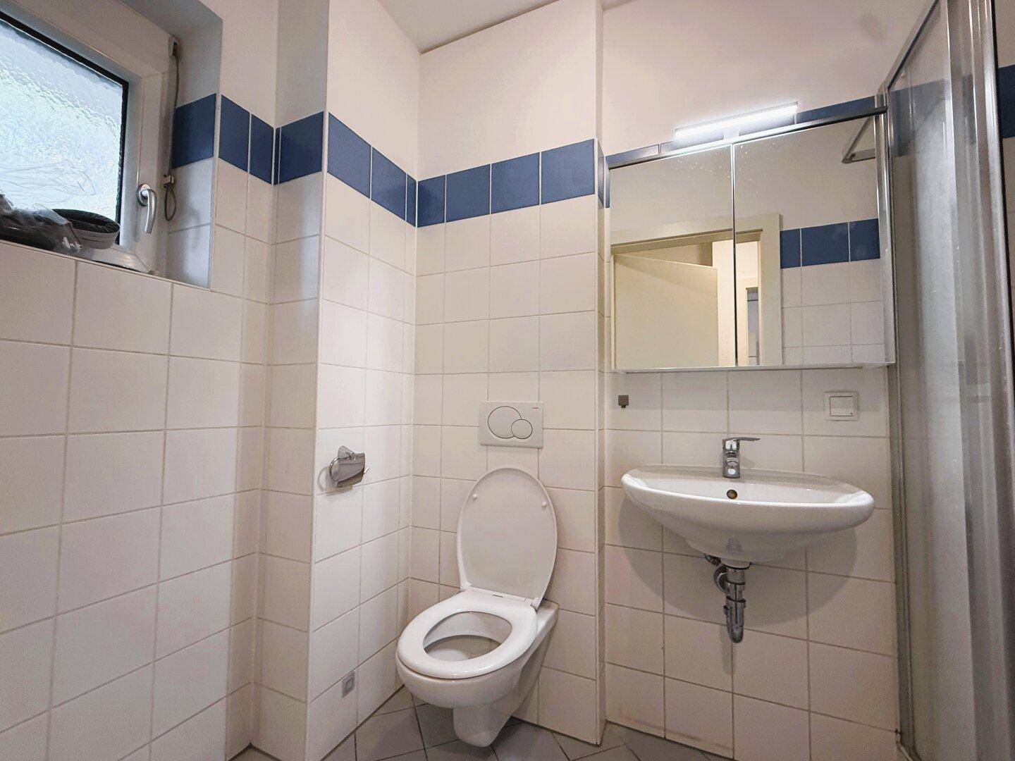 Badezimmer mit WC, Waschbecken und Spiegel, gefliest in Weiß und Blau.