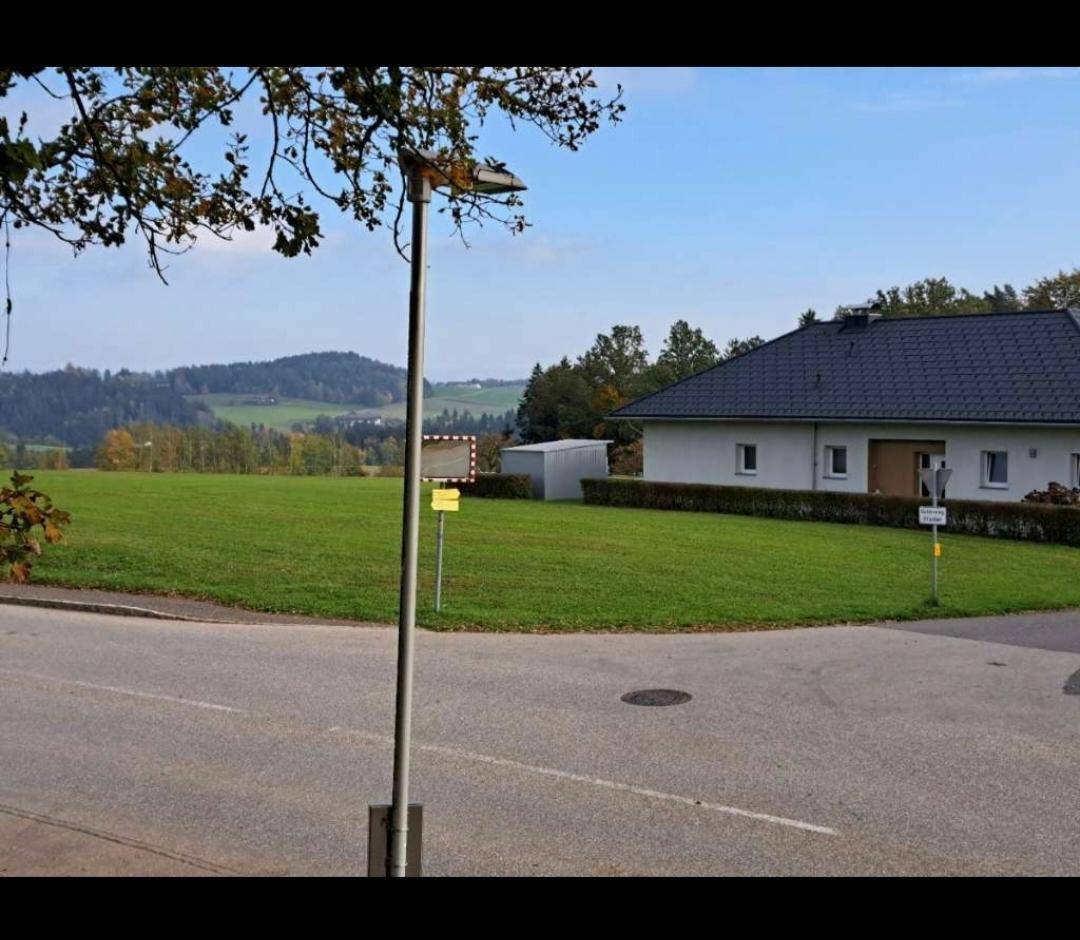 Blick auf das grüne Baugrundstück von der Straße aus mit einem Einfamilienhaus im Hintergrund.