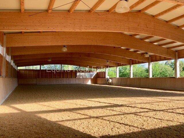 Helle Reithalle mit sichtbaren Holzbindern und sandigem Boden, ideal für Pferdetraining.