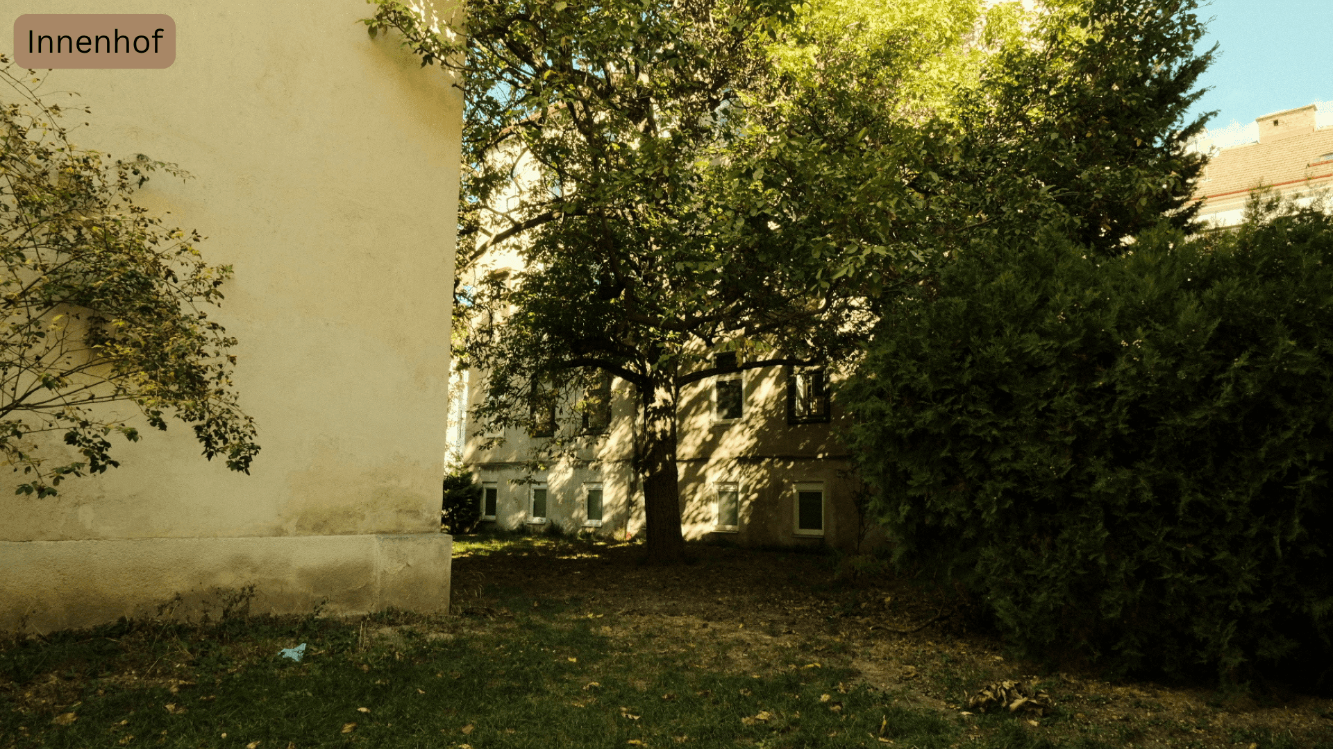 Grüner Innenhof mit altem Baum und Sträuchern, umgeben von Gebäudefassaden.