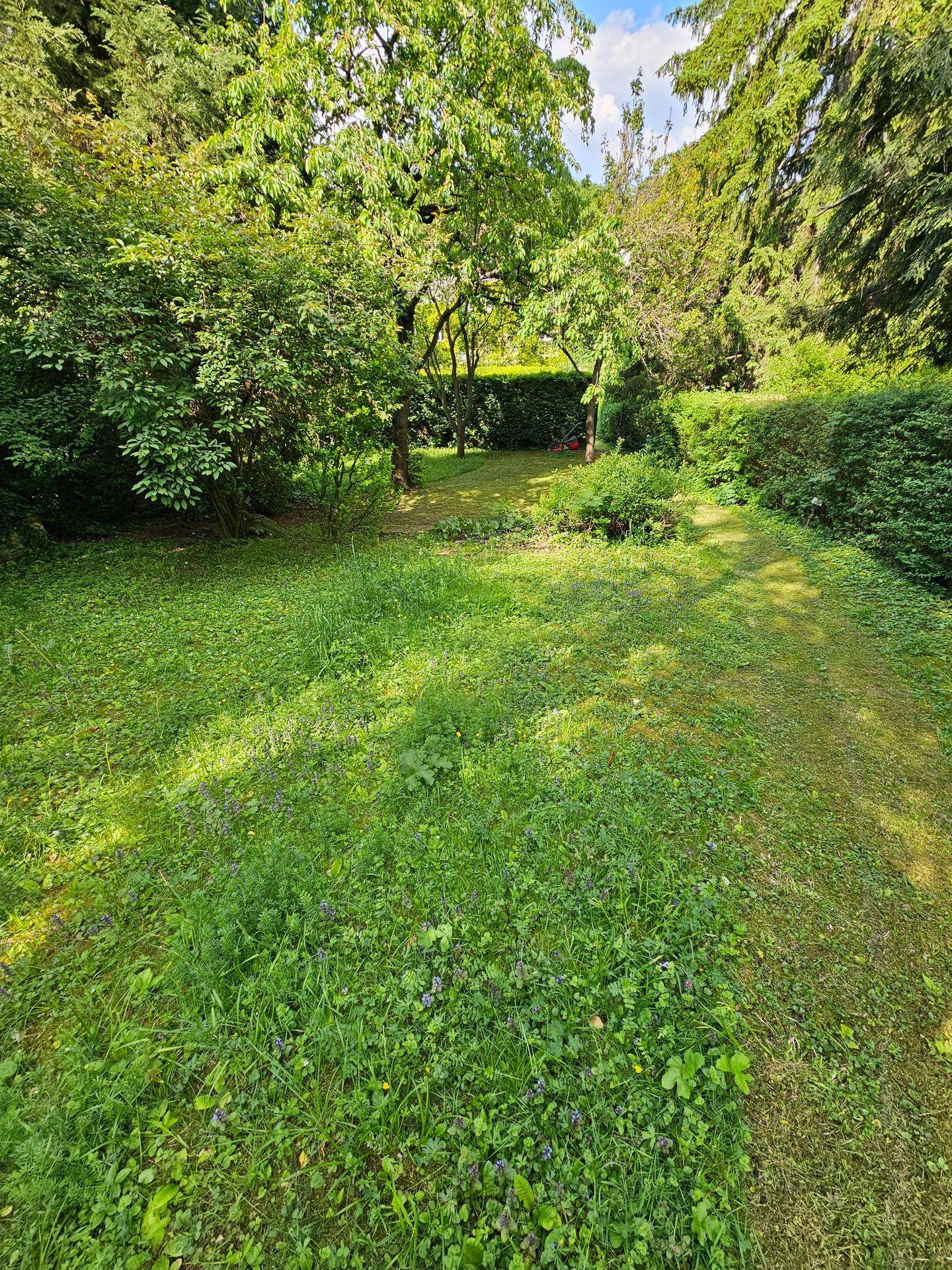 Weitläufiger grüner Gartenbereich mit altem Baumbestand und dichter Bepflanzung.