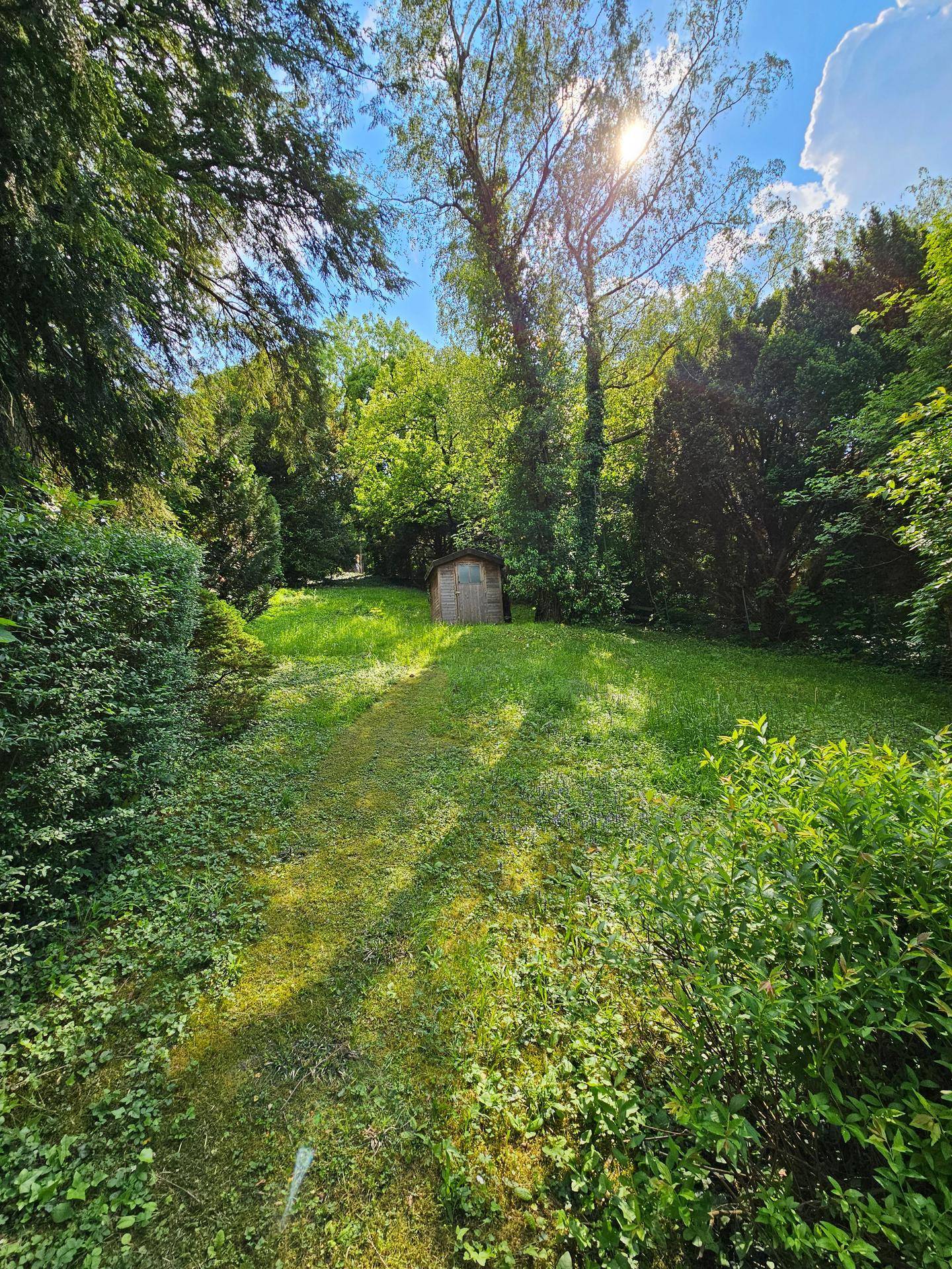 Sonniger Gartenweg führt durch grüne Wiesen zu einem kleinen Gartenhaus unter Bäumen.