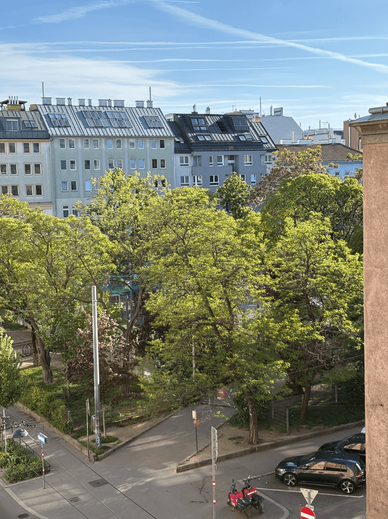Blick aus dem Fenster auf die umliegenden Stadtgebäude, grüne Bäume und die darunterliegende Straße.