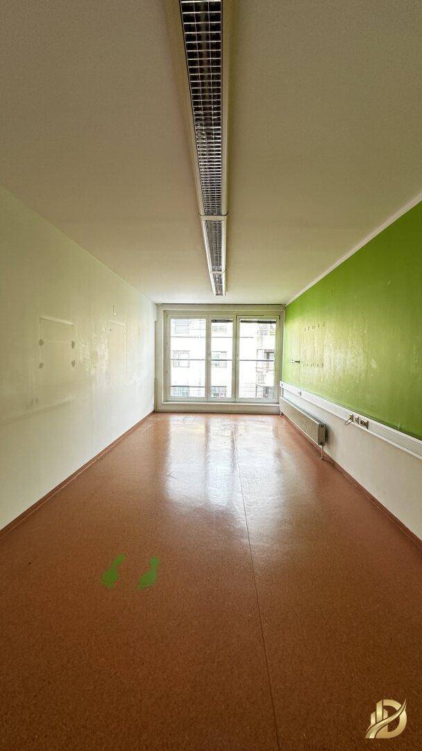 Langes, schmales Büro mit Linoleumboden, grüner Wand und einem großen Fenster am Ende des Raumes.