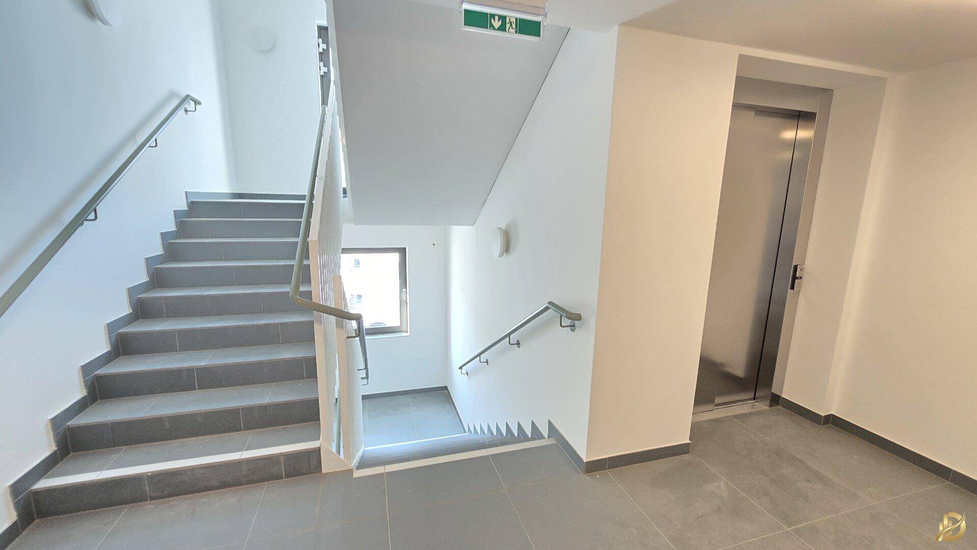 Treppenhaus mit grauen Stufen und Geländer, daneben ein moderner Aufzug.