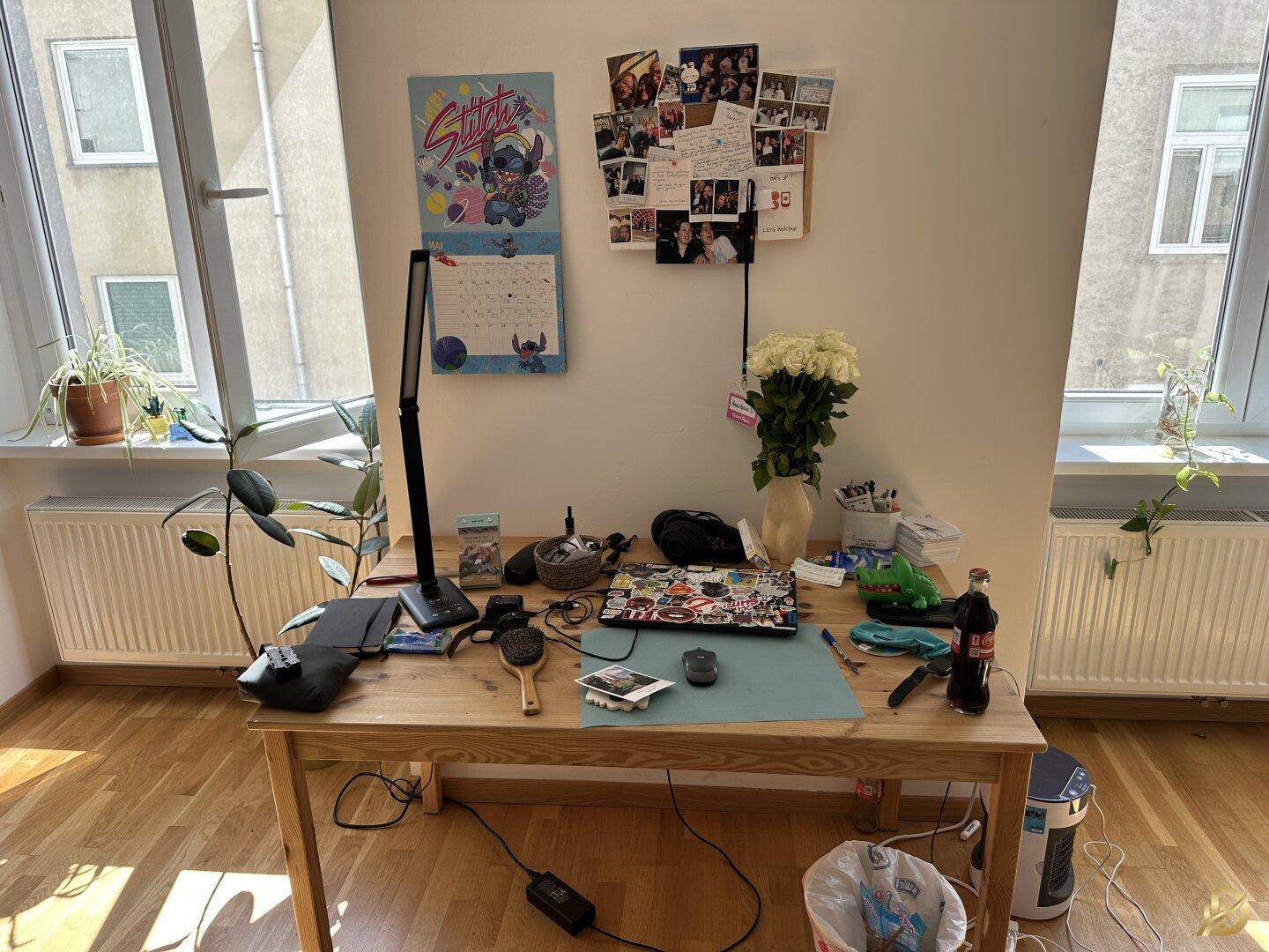 Heller Arbeitsbereich am Fenster mit Schreibtisch und Heizkörpern unter den Fenstern.