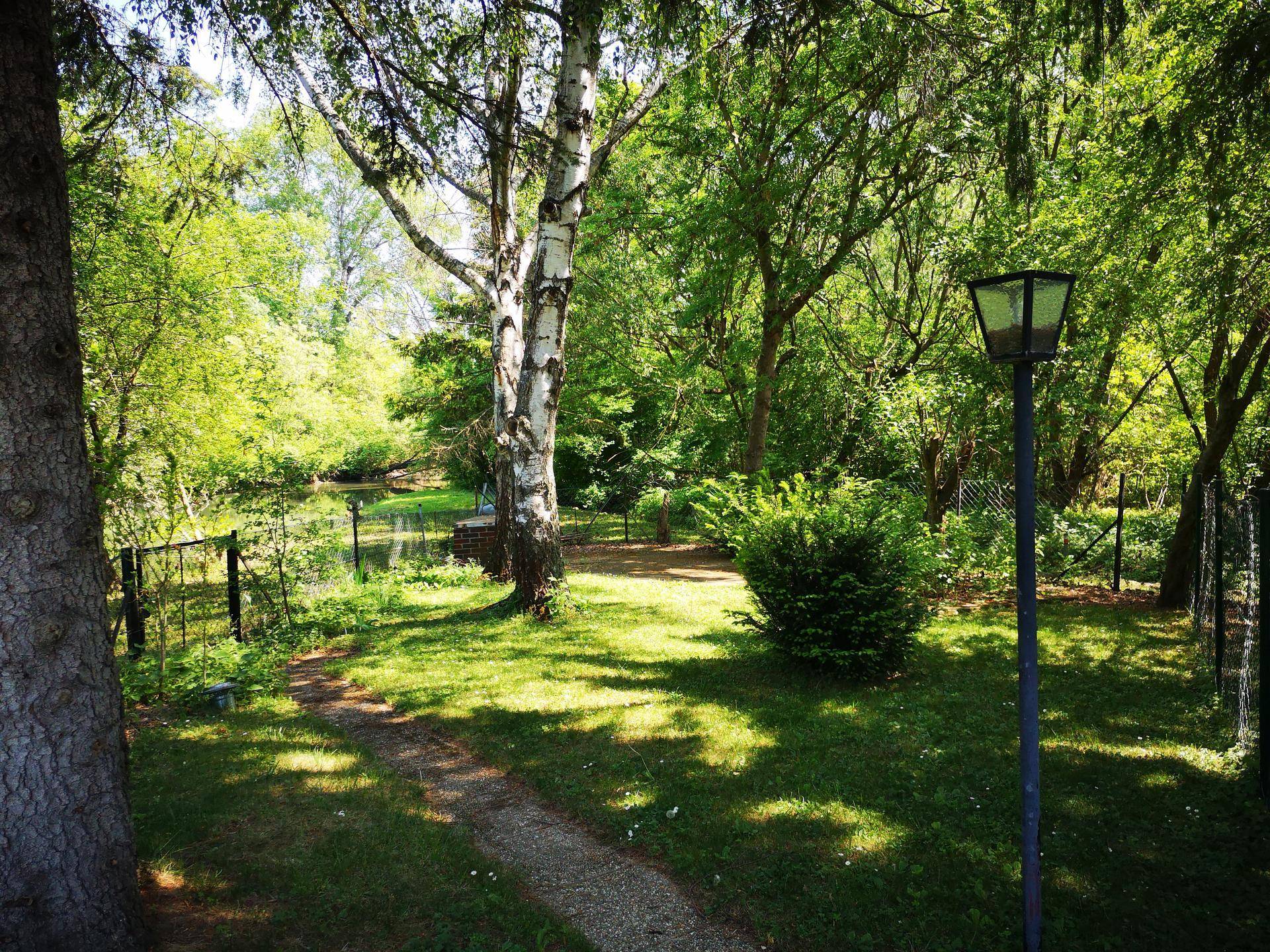 Idyllischer Garten mit Bäumen, Rasen und einem Pfad, der zu einem Gewässer im Hintergrund führt.