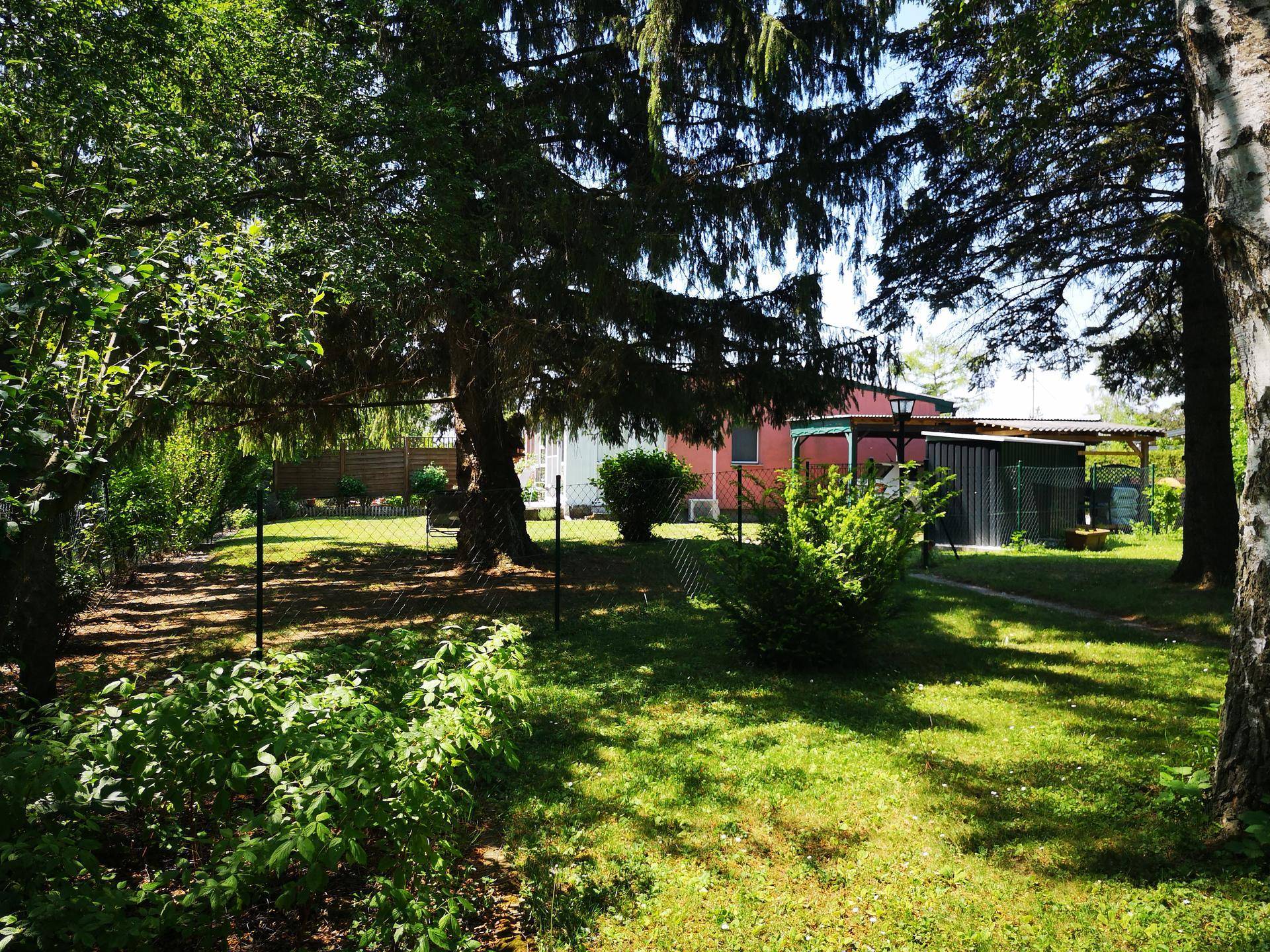 Großer, gepflegter Garten mit altem Baumbestand und Rasenfläche, umgeben von viel Grün.