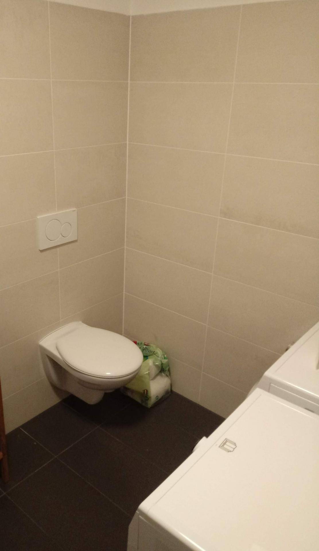 Separates WC mit wandhängender Toilette und Platz für Waschmaschine.