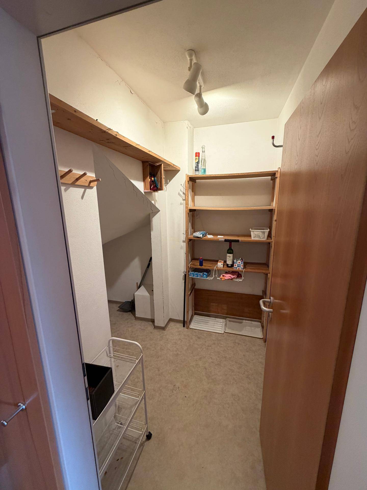 Praktischer Abstellraum mit Regalen für zusätzlichen Stauraum und Haushaltsgegenstände.